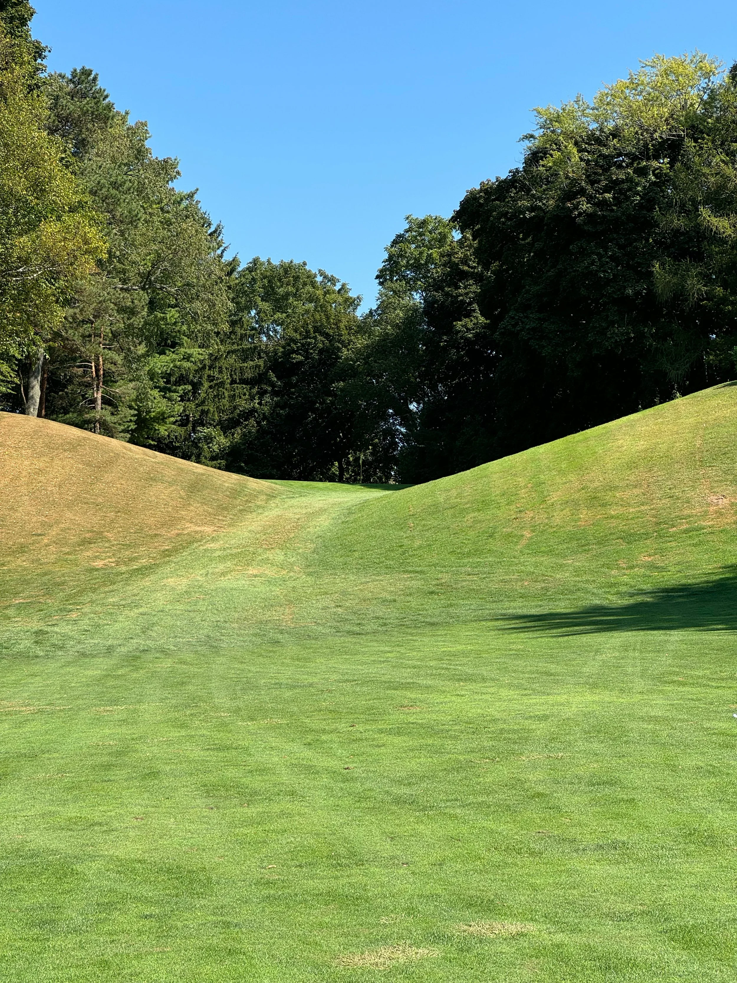 A golf course with a lush green fairway, surrounded by trees under a clear blue sky.