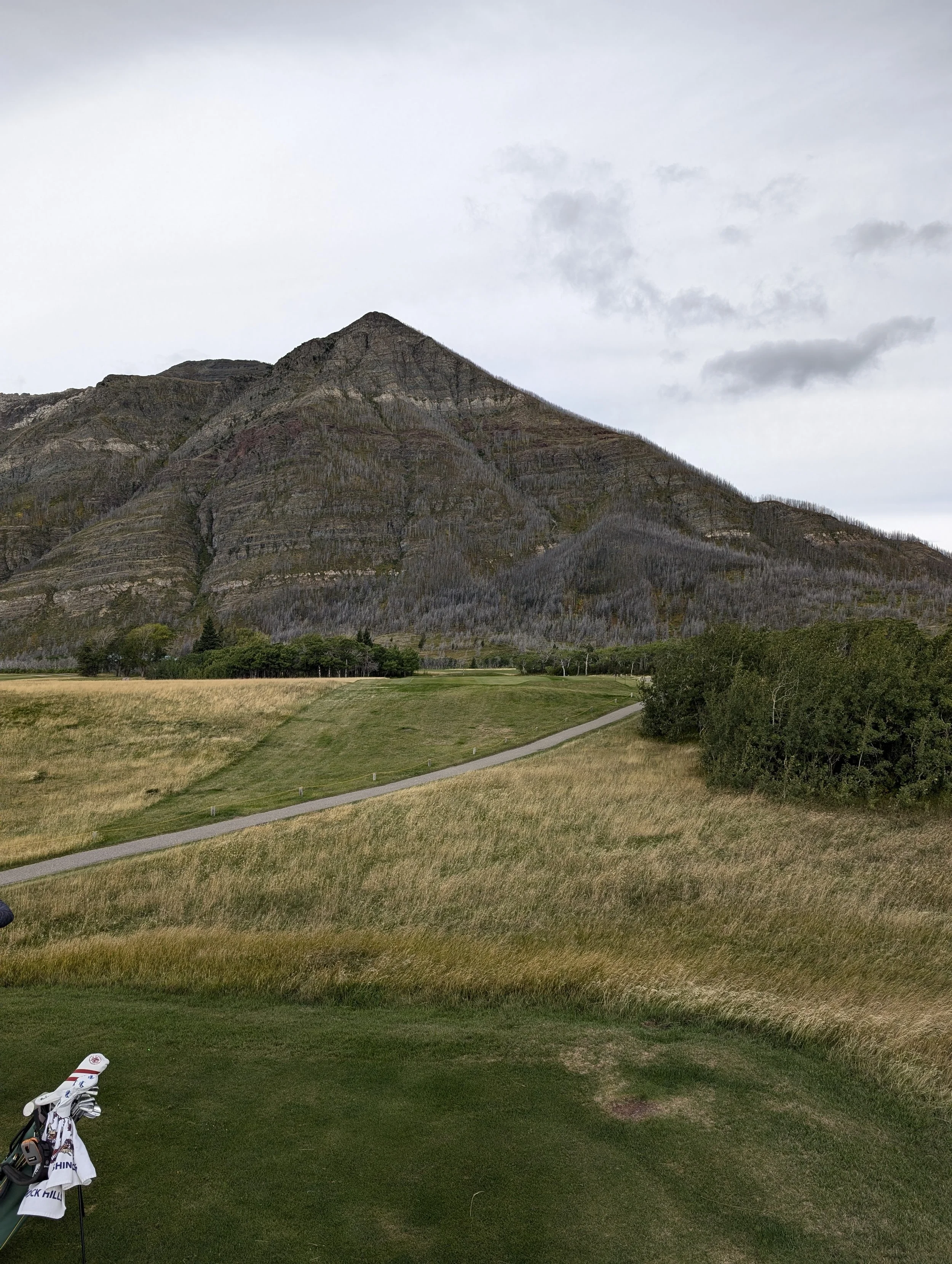 Above the tee at par 3 4th