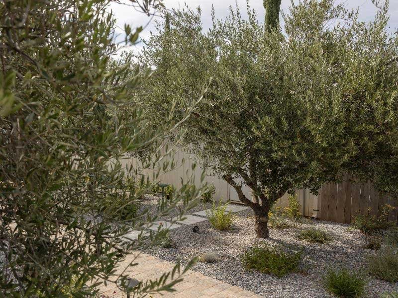 Draught tolerant landscaping in Redding, CA by professional landscaper