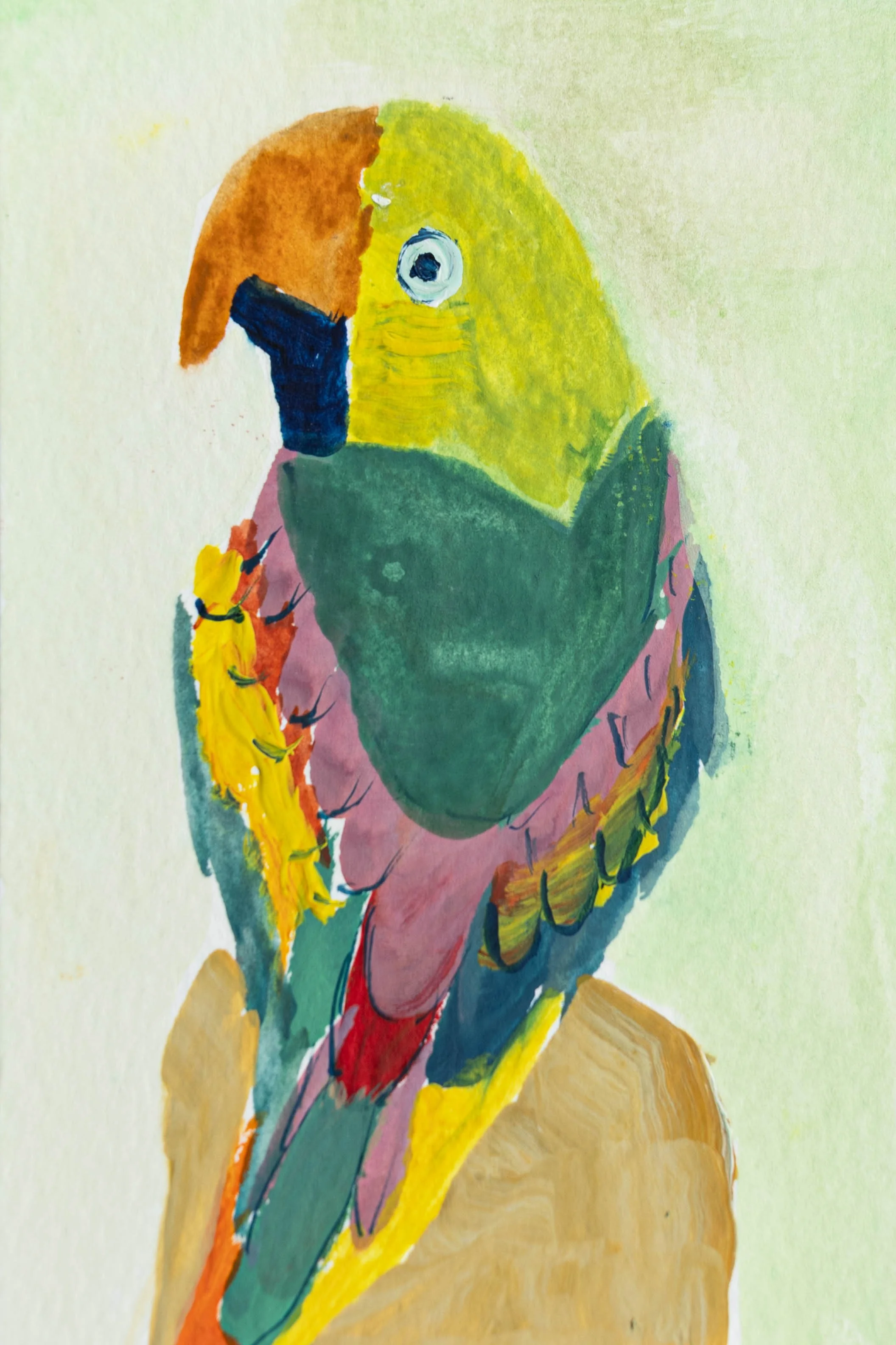Parrot Sketch