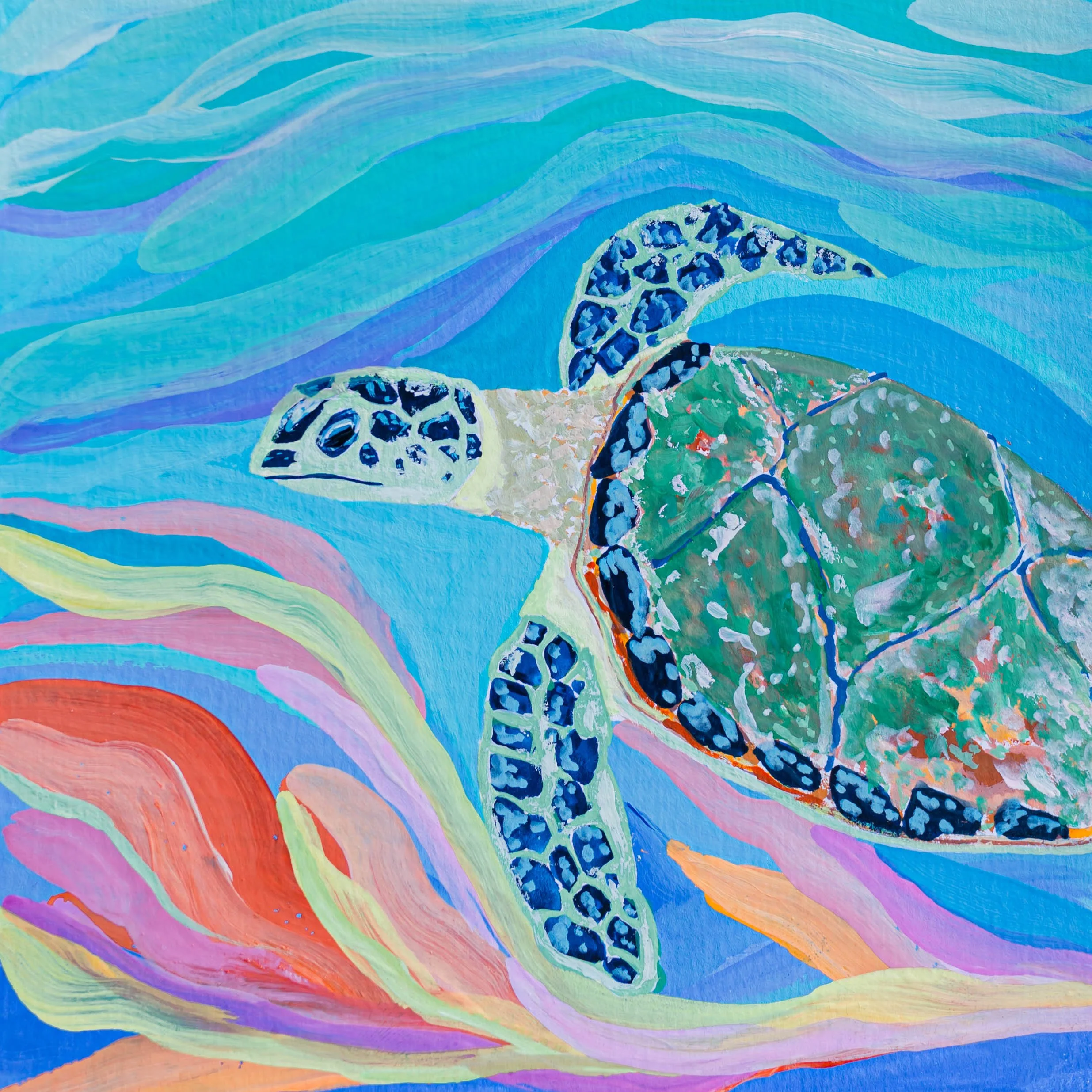 Sea Turtle