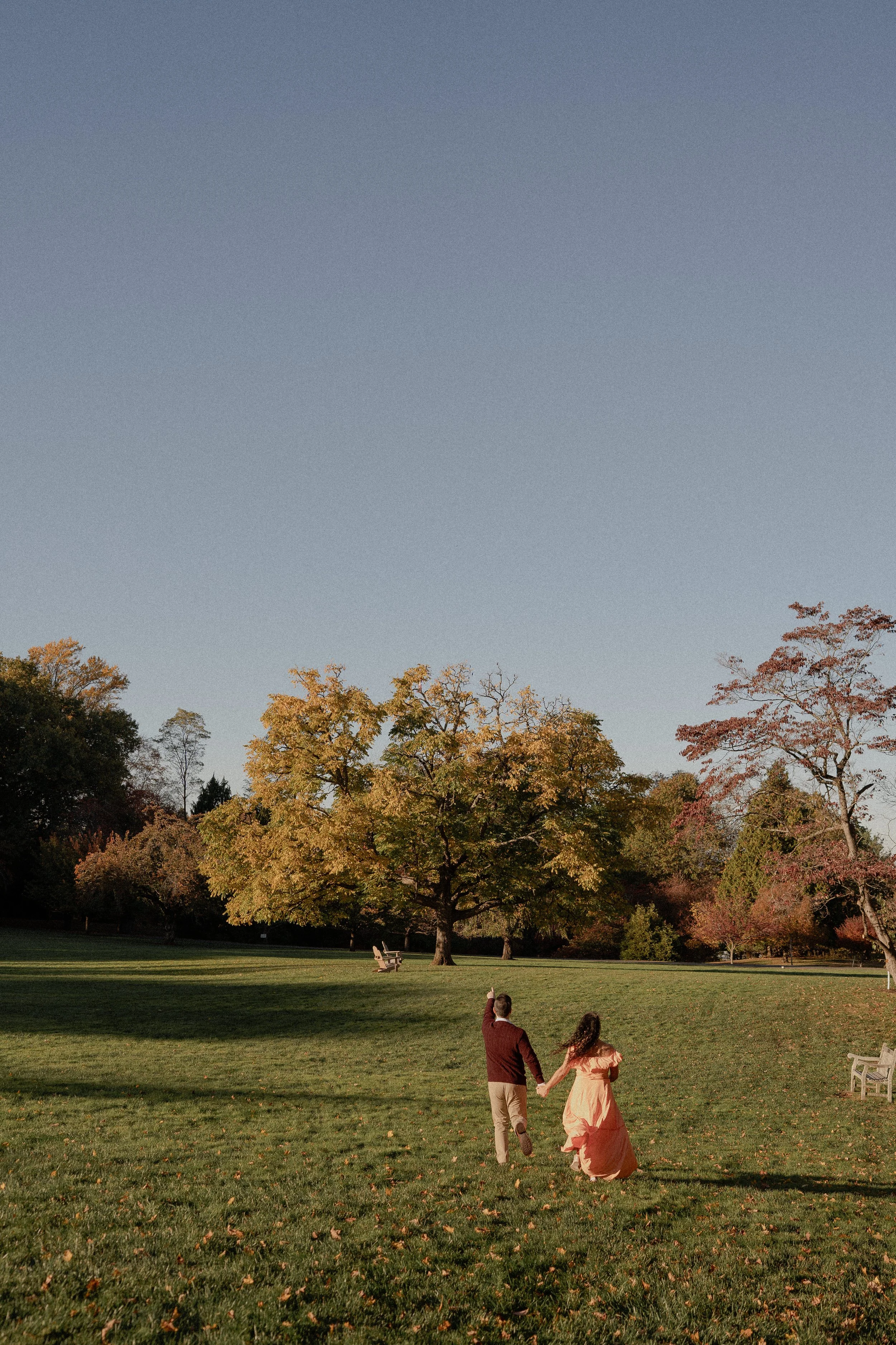 NJ Wedding Photography of A couple walking hand in hand in a park with trees, grass, and benches, during fall with a clear sky.