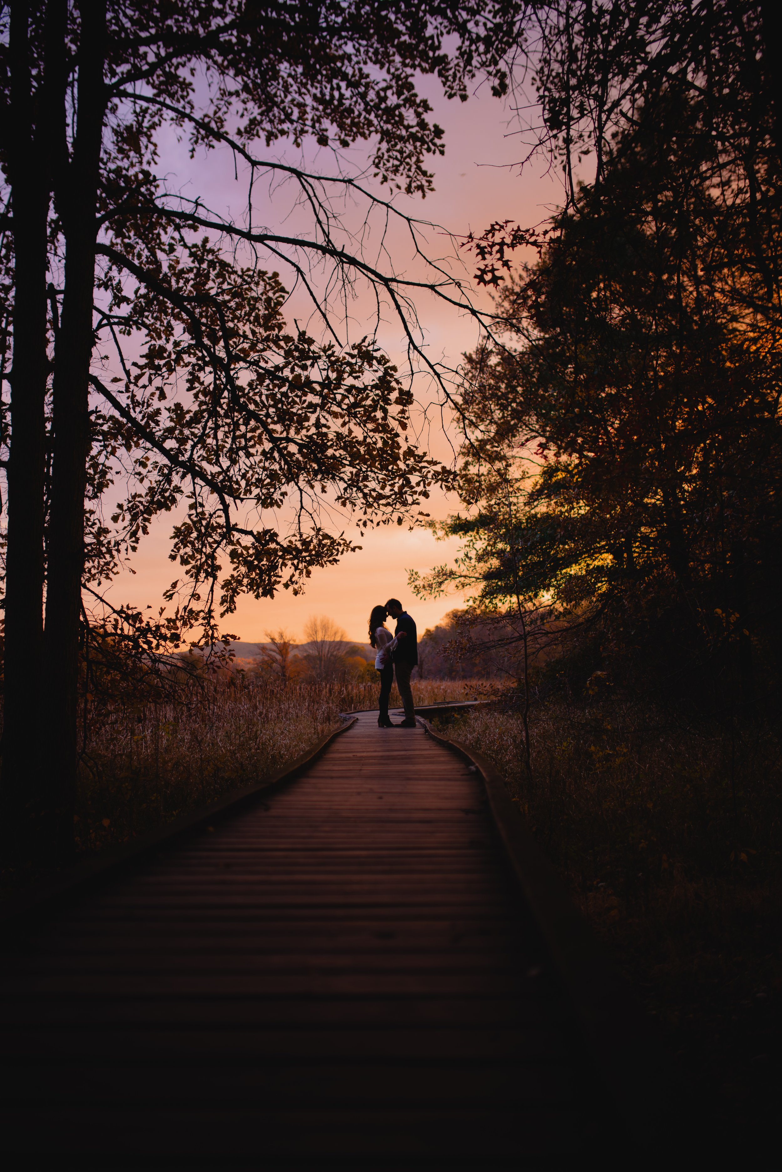 A silhouette of a couple holding hands and leaning in for a kiss on a wooden path during sunset, surrounded by trees and open fields.