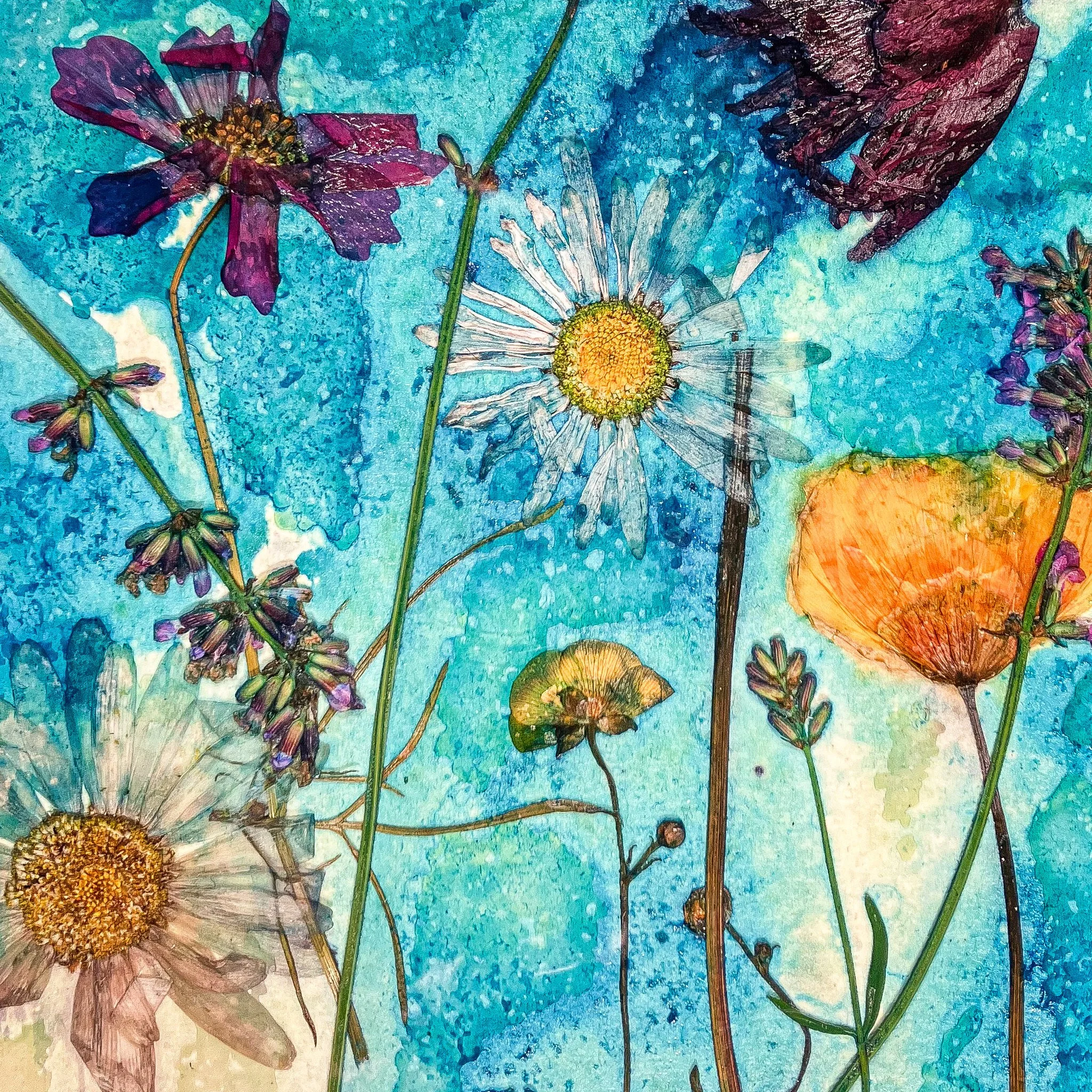 Wildflower Fields, image, Julie McMahon.jpg.jpeg