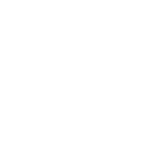 In Motion Studio