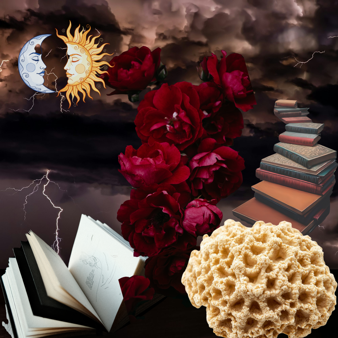 Pesadillas de una esponja