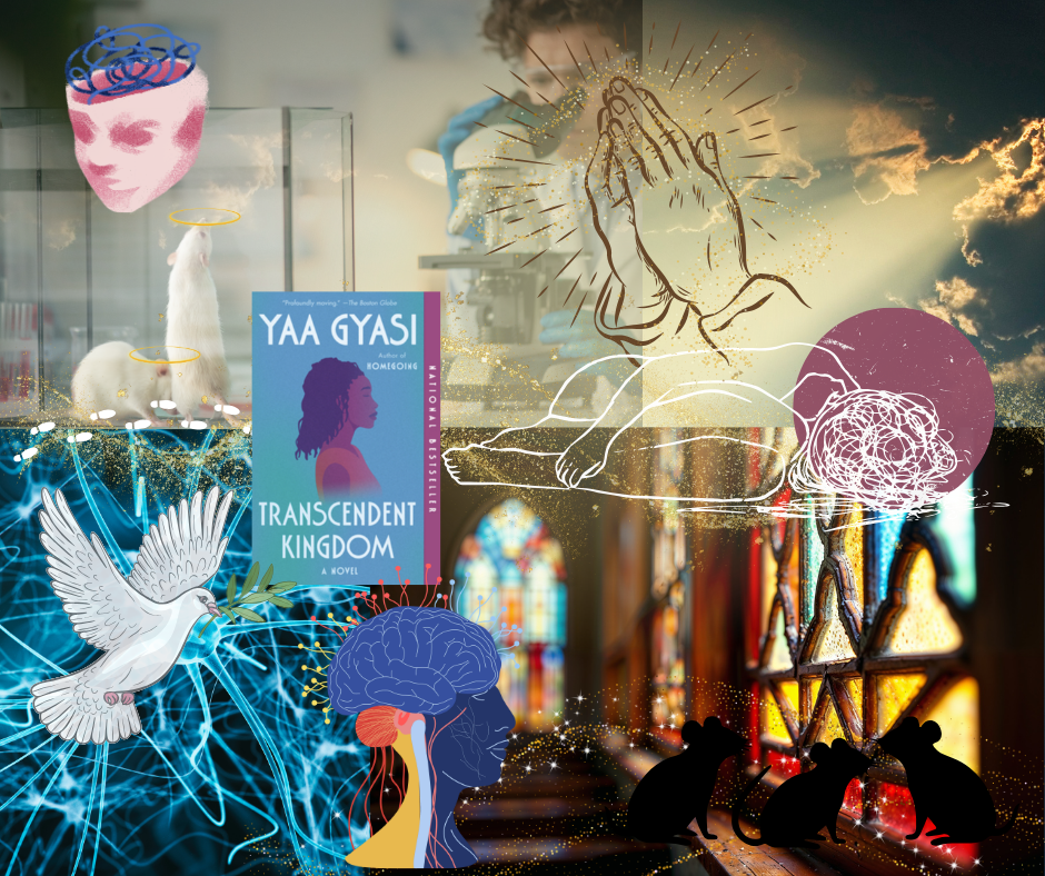 Reflections of "Transcendent Kingdom"