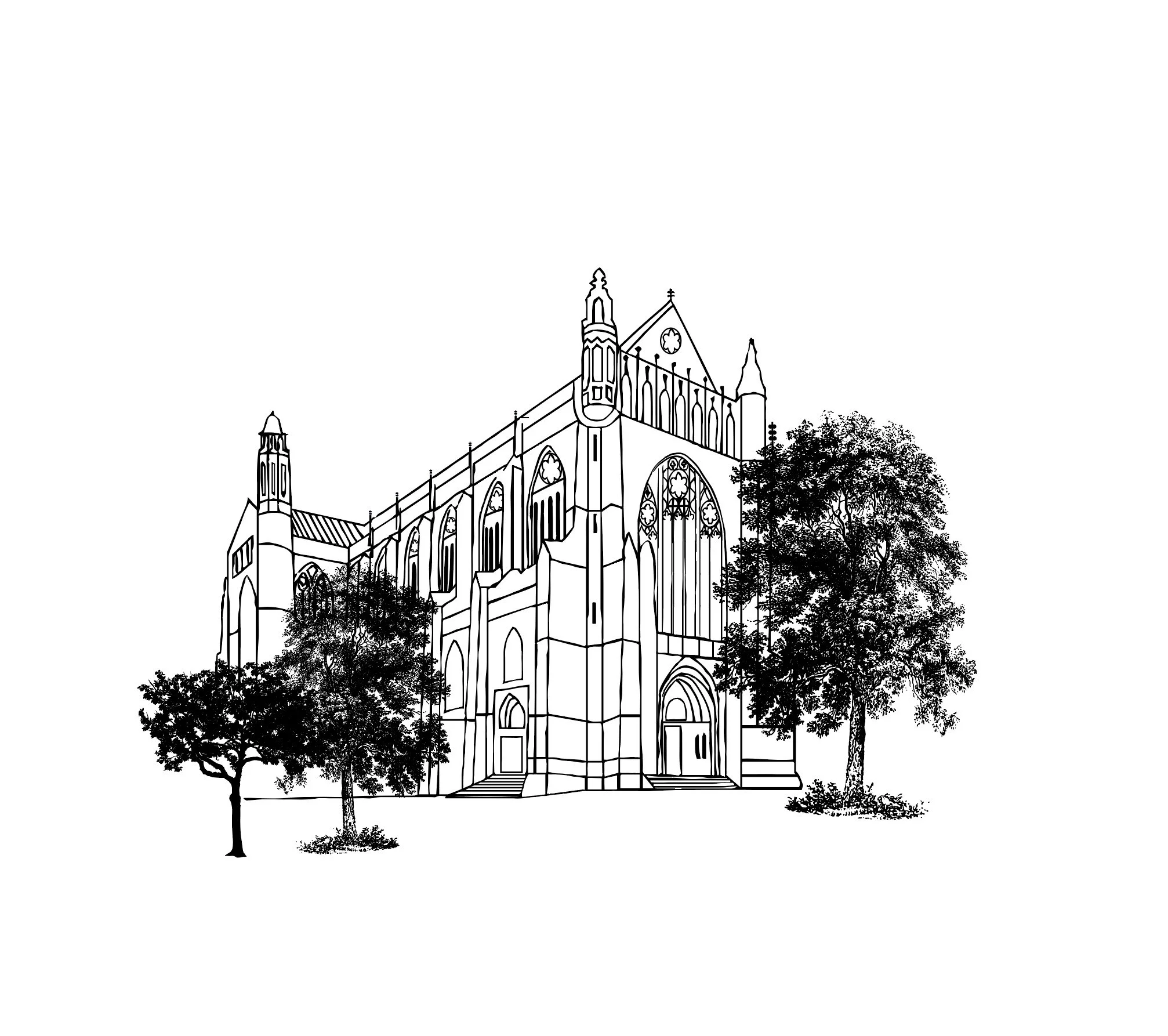 Image 7-8-25 at 10.18 AM.JPG