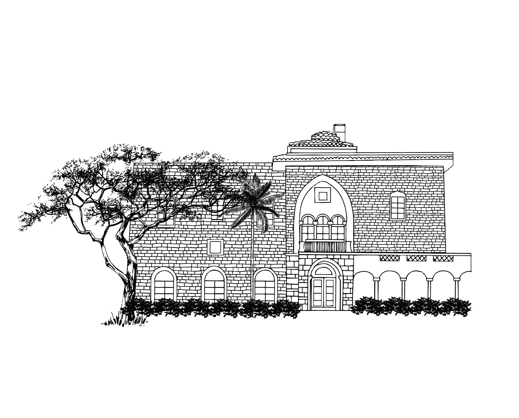 Image 7-8-25 at 10.13 AM.JPG