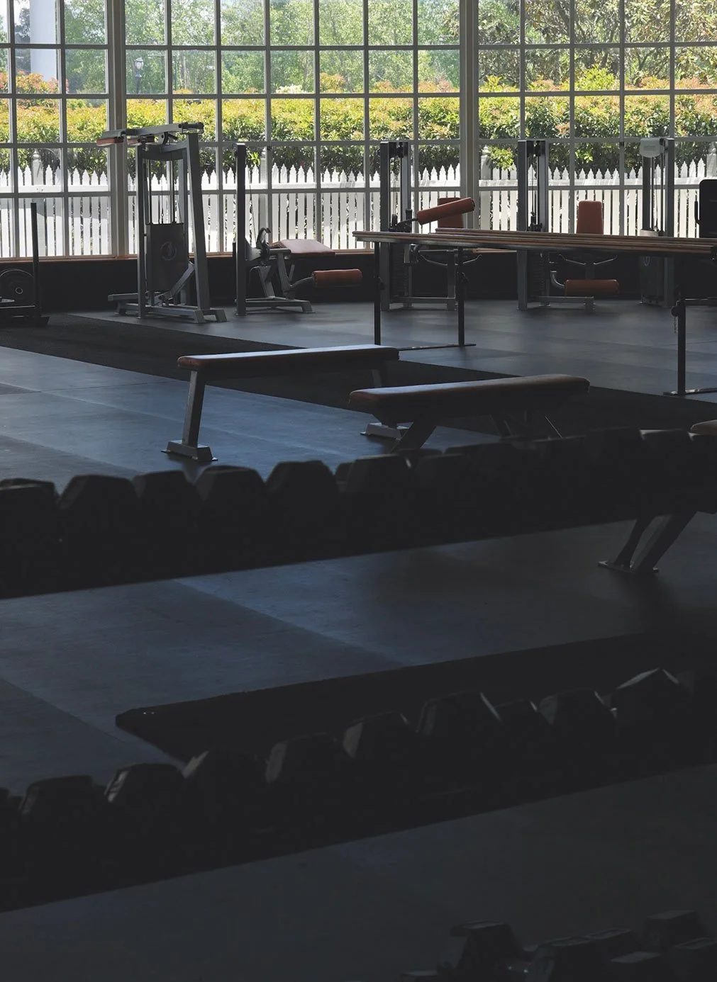 Empty gym with weight benches, dumbbells, and exercise machines, illuminated by natural light from large windows showing trees outside.
