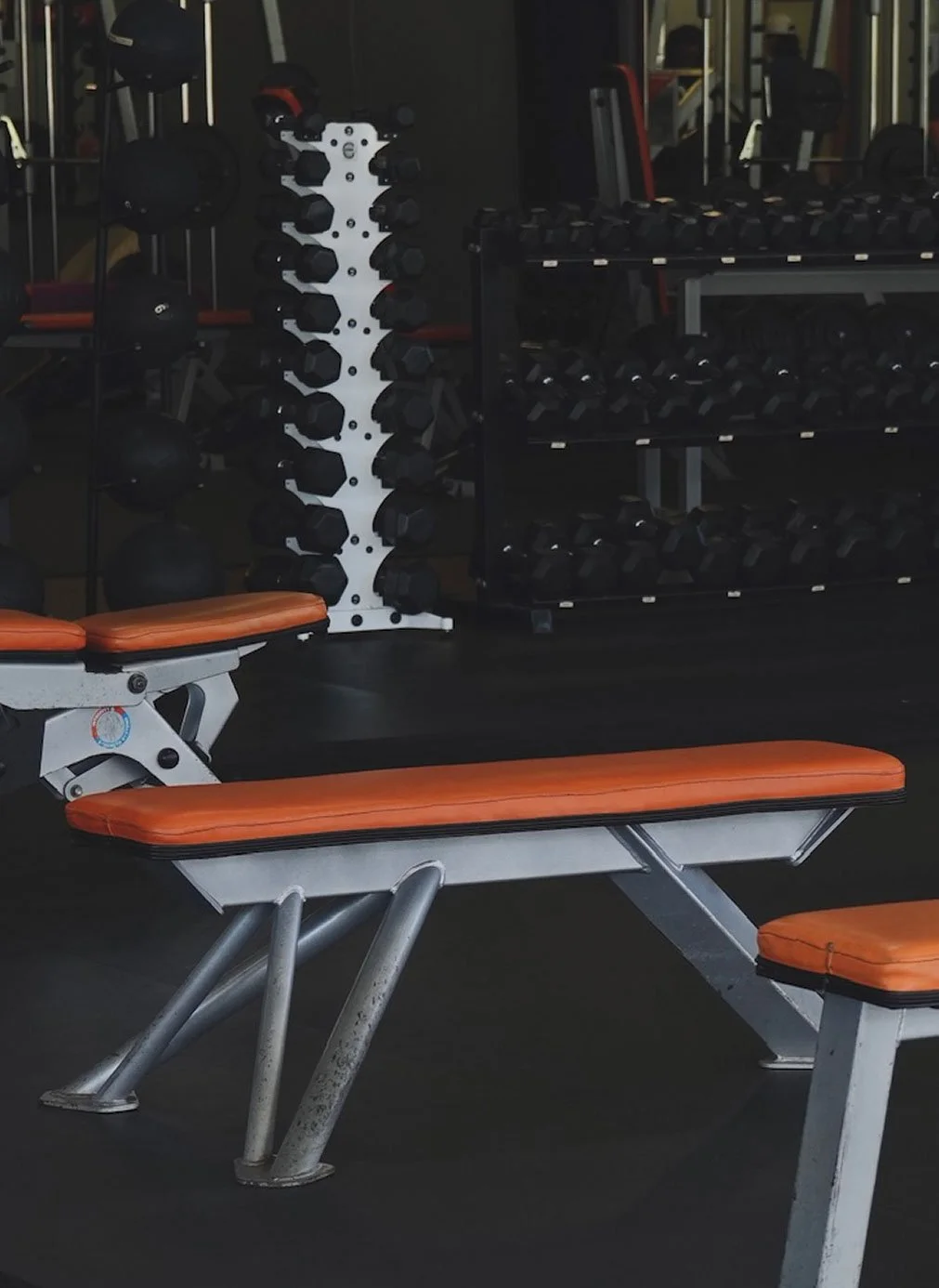 Weight bench and rack with dumbbells in a gym.