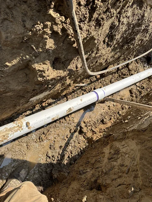 tree root removal broomfield CO