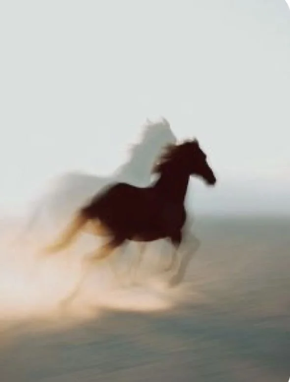 Lunar New Year Manifestation Workshop