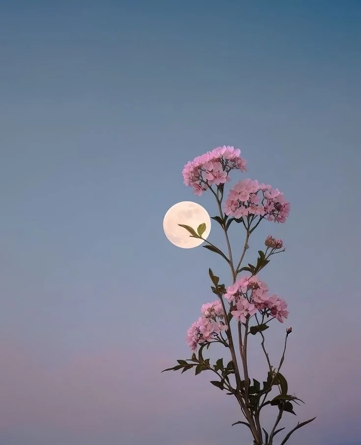 Flower Moon Beltane Circle