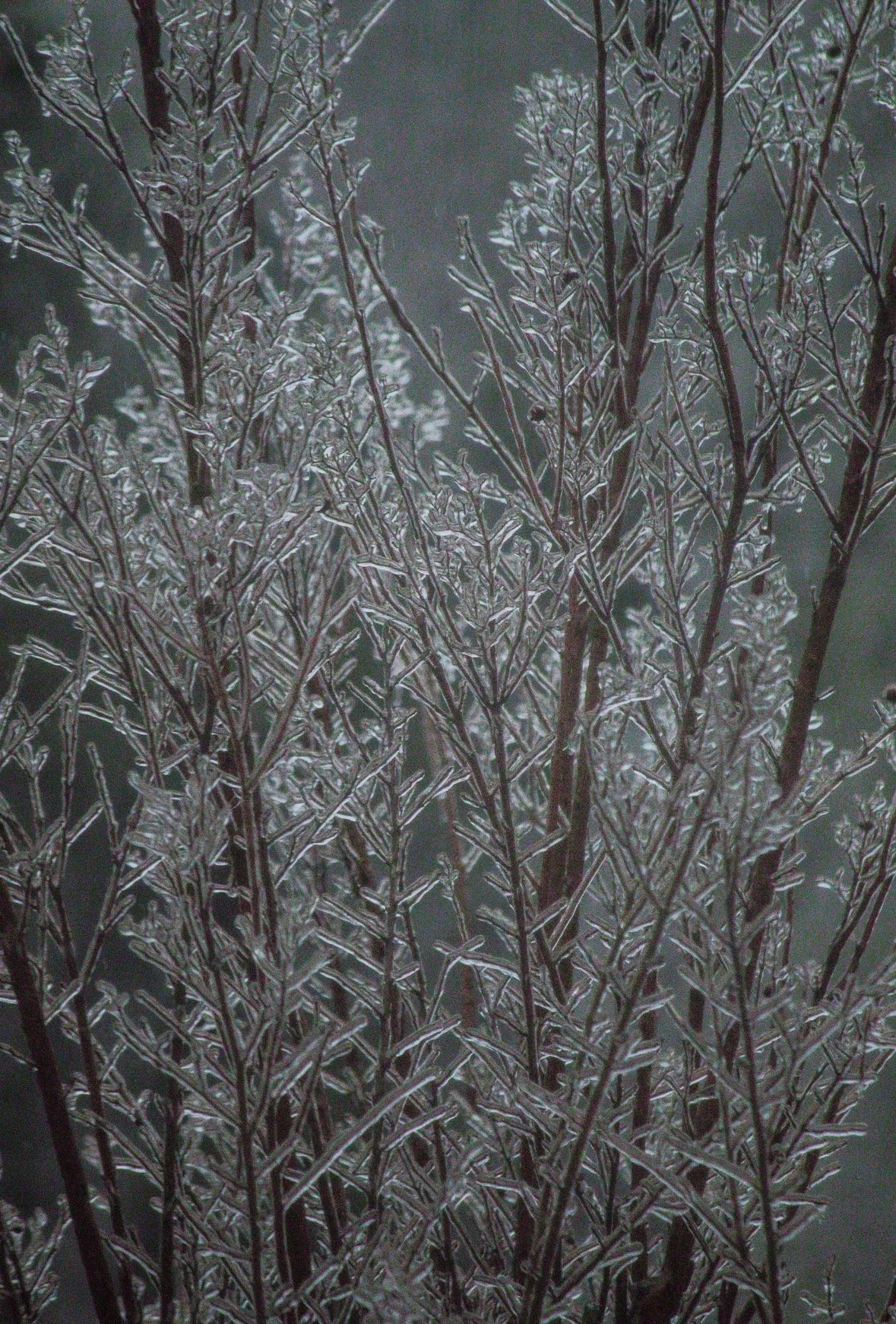 Weathering the Winter Storms: Outside and Within