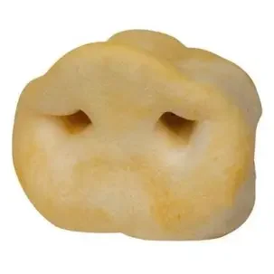 Pig Snouts