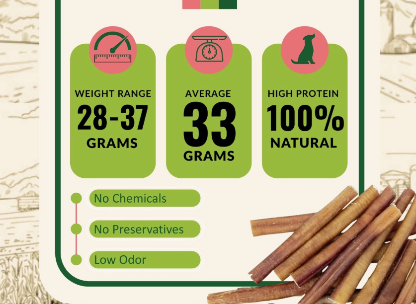 6 in Bully Sticks 5.png