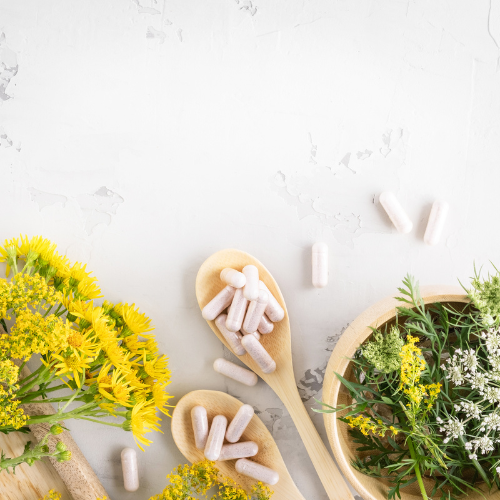 Yellow flowers and green leafy plants with white capsules scattered on white surface.