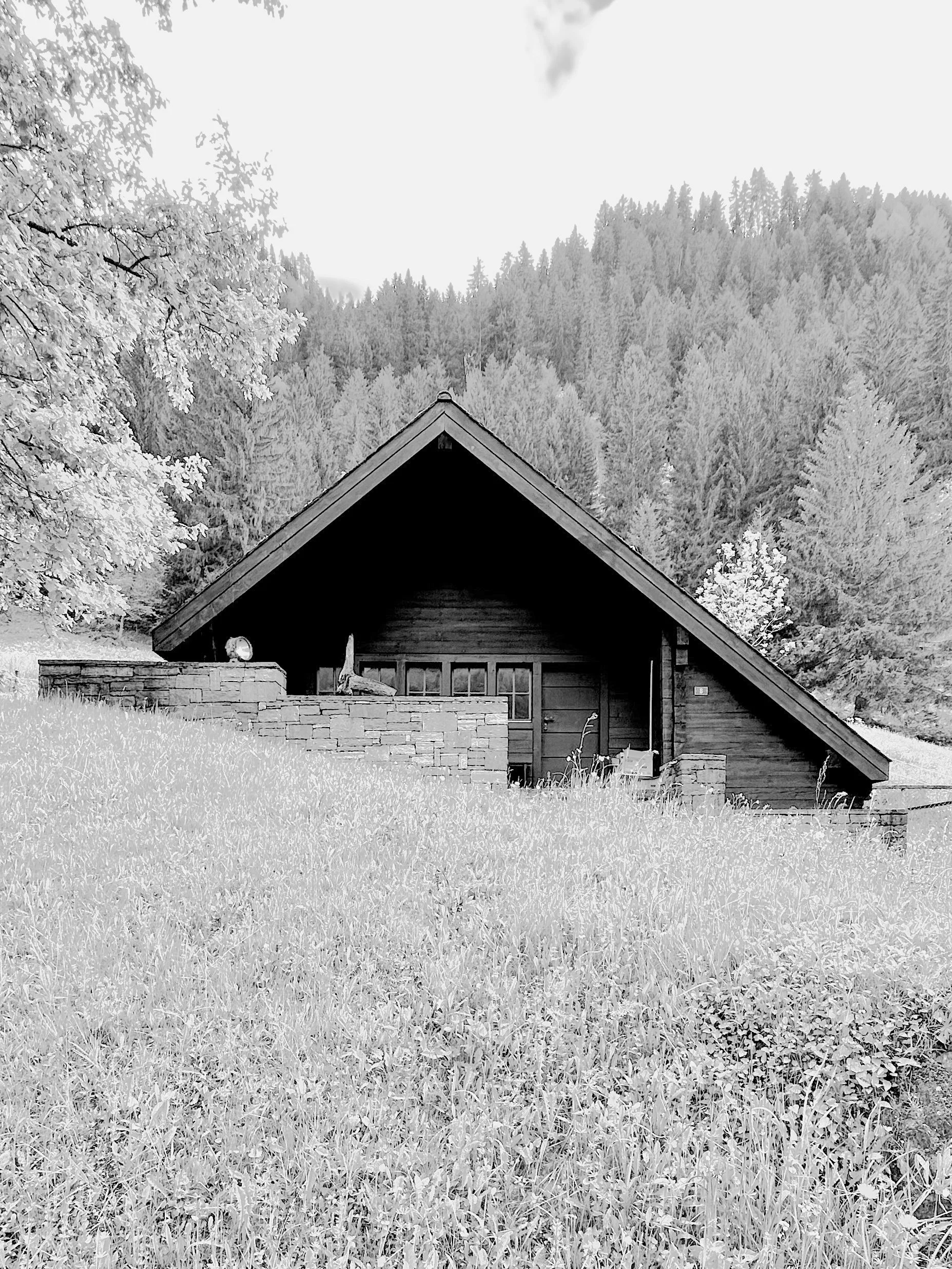 1970 - CHALERINO - ALBERTO GUSCETTI - AMBRI