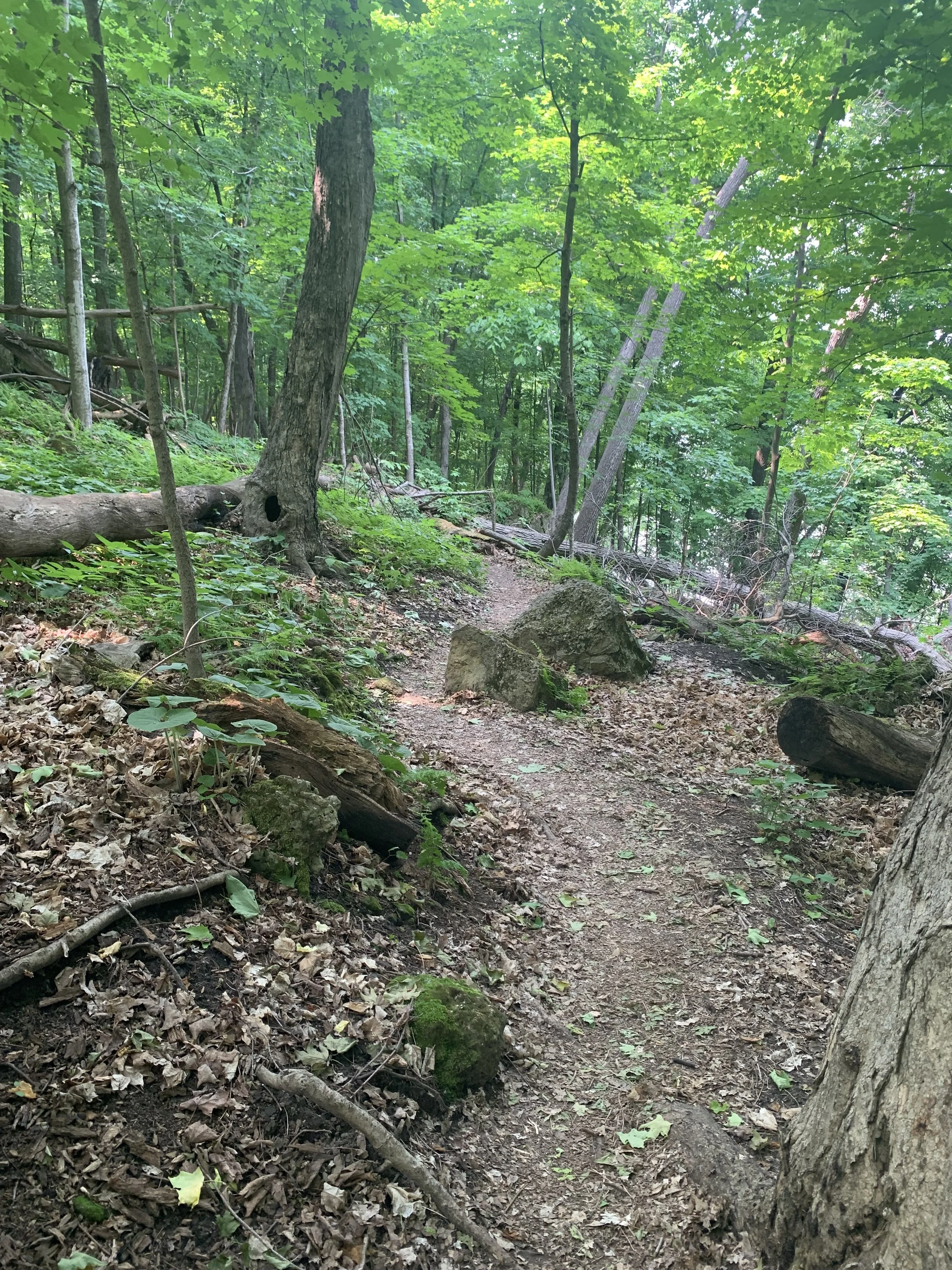 Backroads &amp; Trails to Frontenac State Park