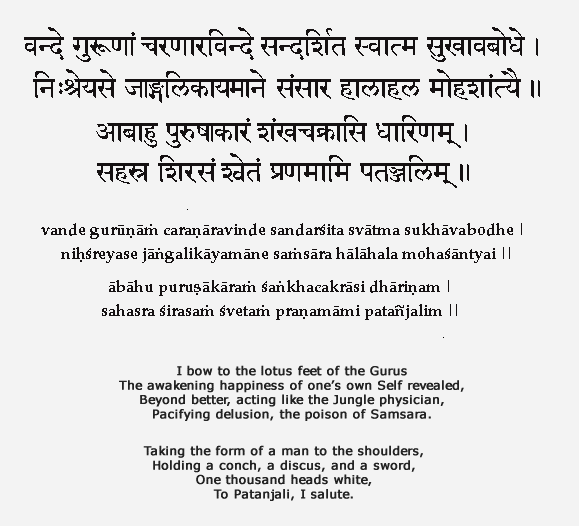 A page containing a Sanskrit text, its transliteration, and an English translation about the Lotus feet of Gurus, representing spiritual concepts and honoring a Self that reveals happiness and understanding.