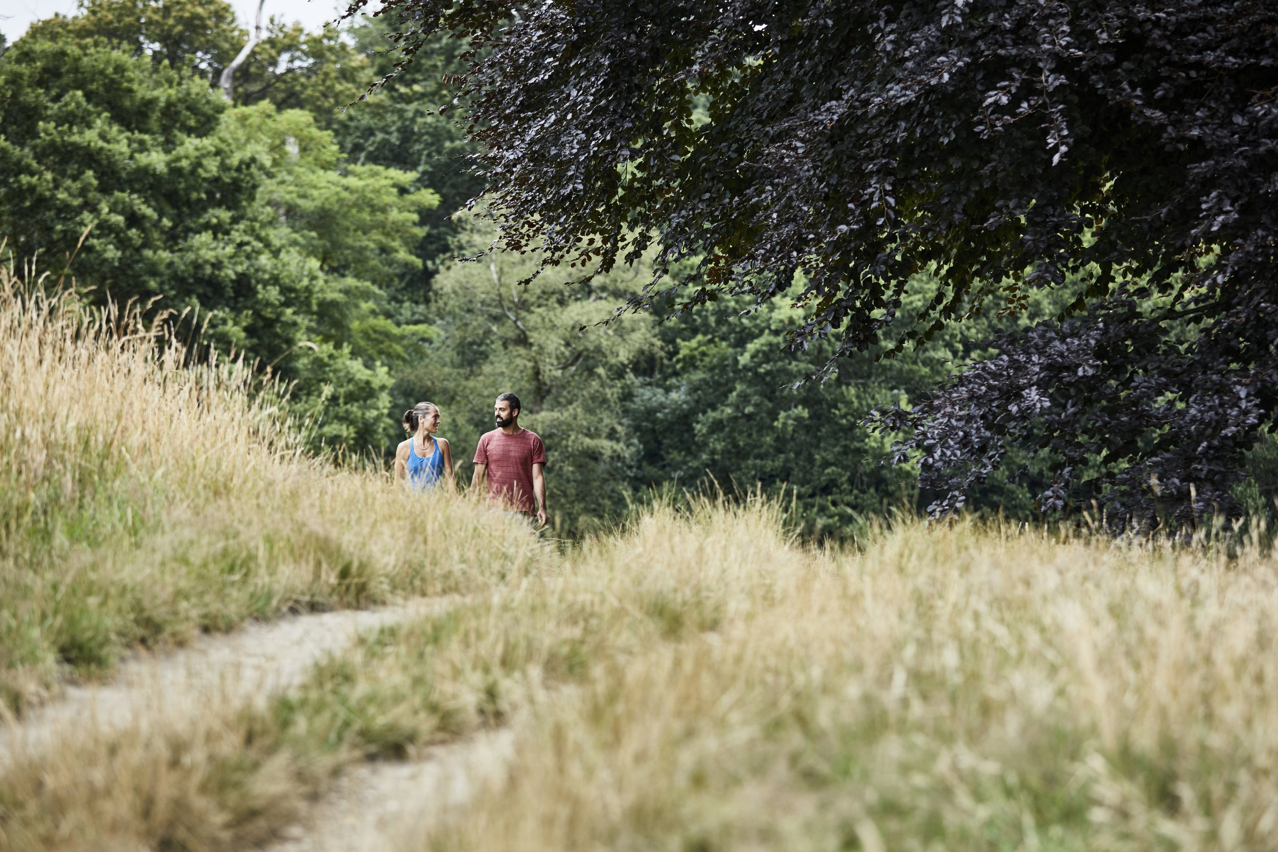 A couple walking through the grass.
