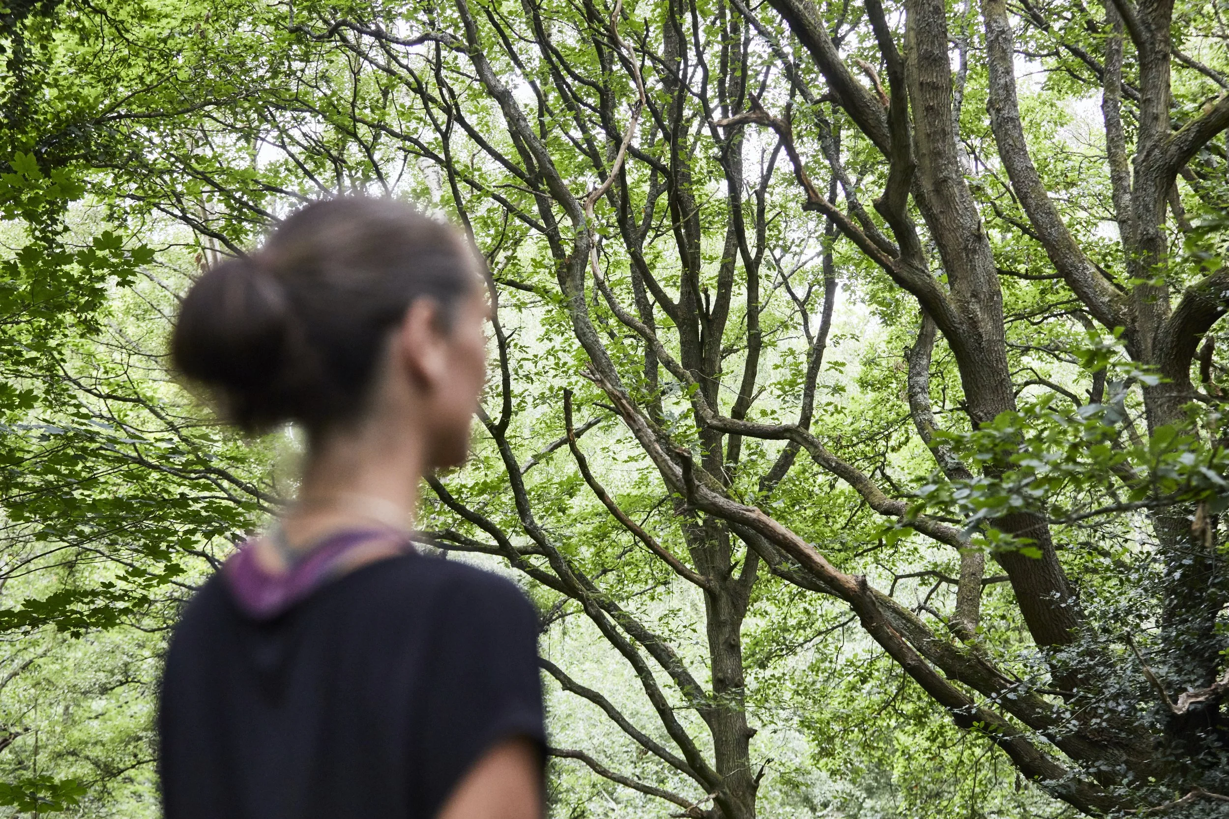 A woman with dark hair in a bun stands in a forest with lush green foliage and trees in the background.