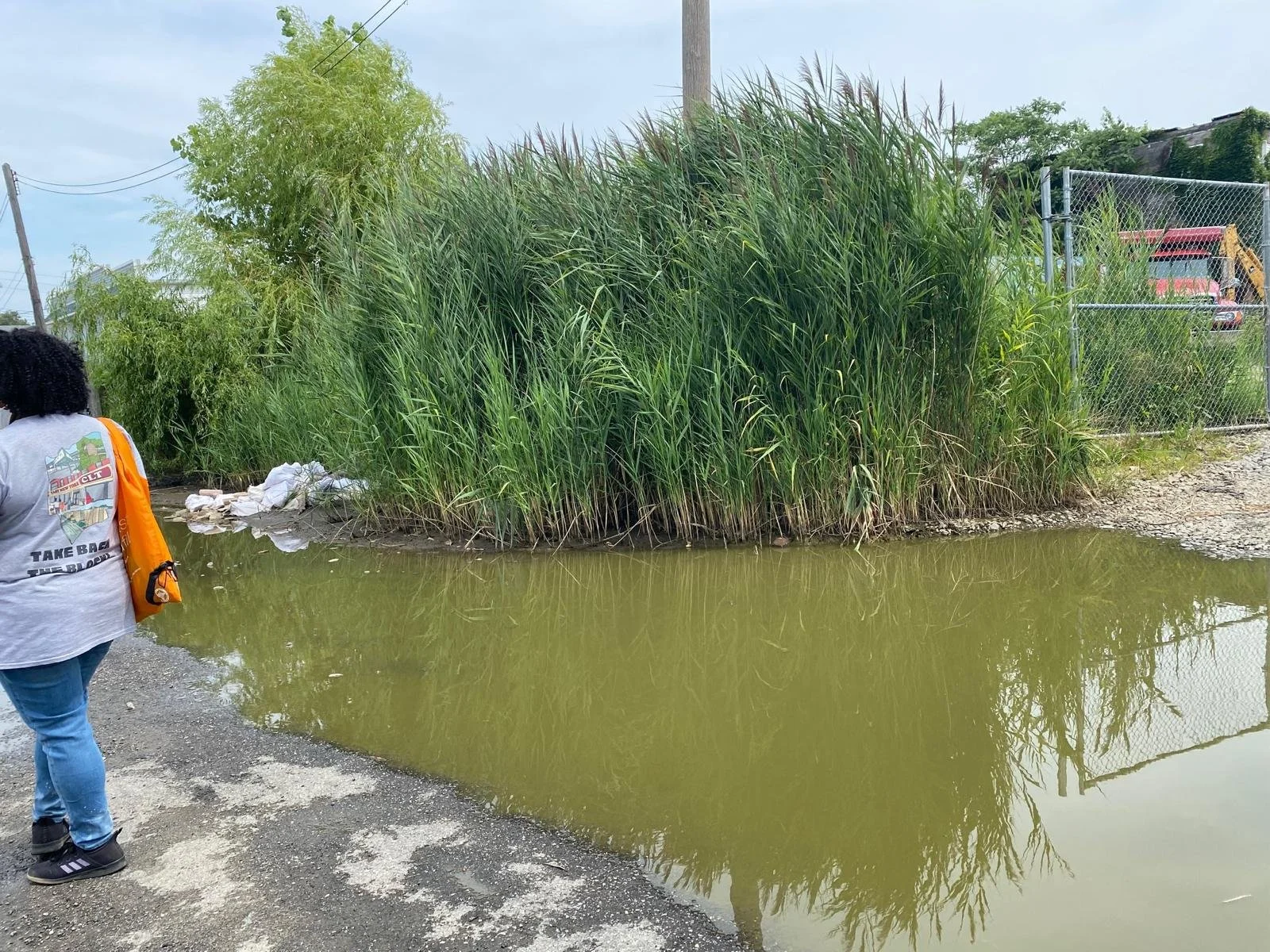 WhatsApp Image 2025-12-02 at 13.56.36 (4).jpeg