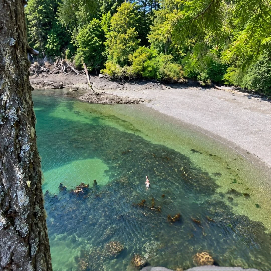A secret cove on Saturna Island, British Columbia.

Where orchard meets forest meets ocean.

One of Tania&rsquo;s happy places. One of the inspirations for our Secret Cove Lime.

The quiet, peaceful moments. Embracing the analogue.

Happy Thanksgivin