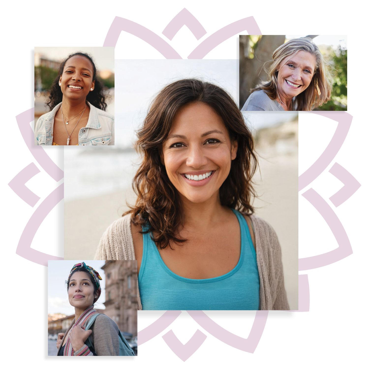 Shevari Shevari4® - Regain Your Rhythm with Shatavarin IV | Shatavarin IV ...