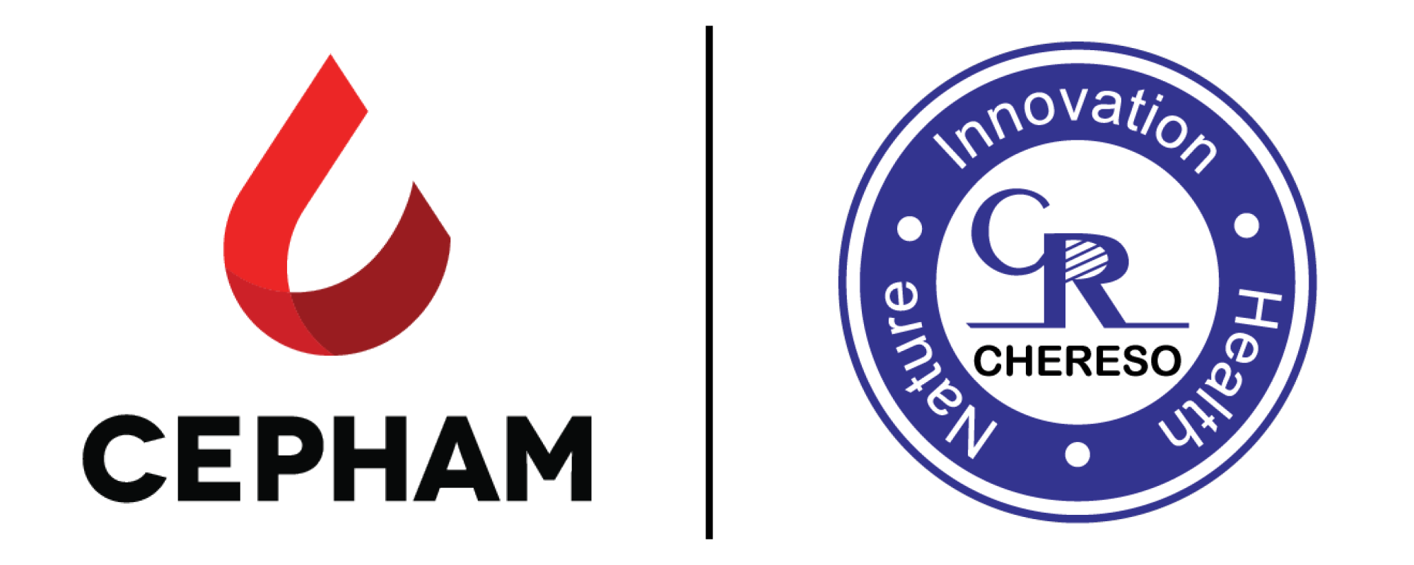 Logos of CEHAT and G R CHERESO organization, featuring a 3D red and white geometric design and a blue circular emblem with white text.