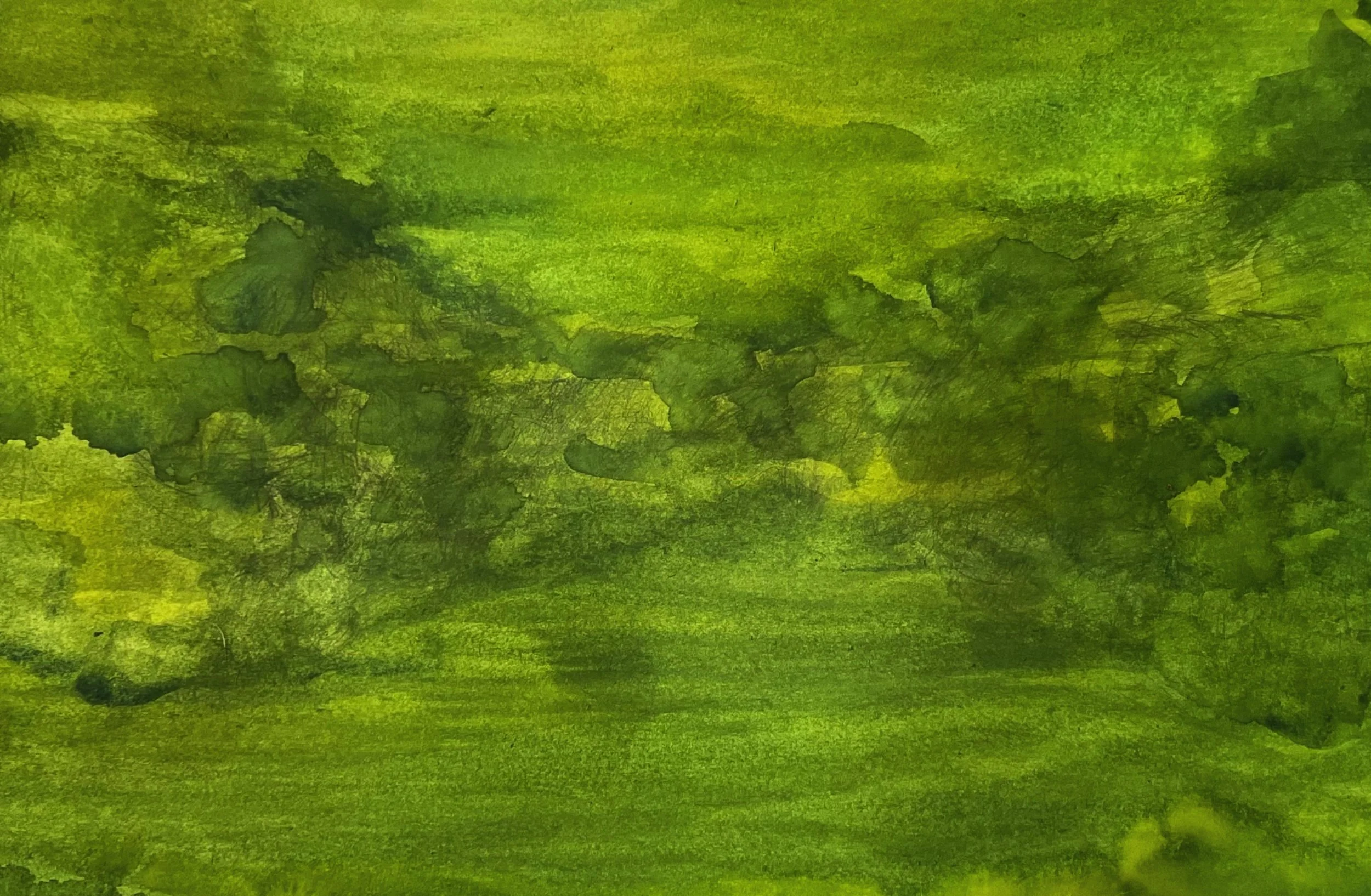 Green on Green. Loretta Rosa 2025.  Watercolour Painting.  Landscape suggestions.