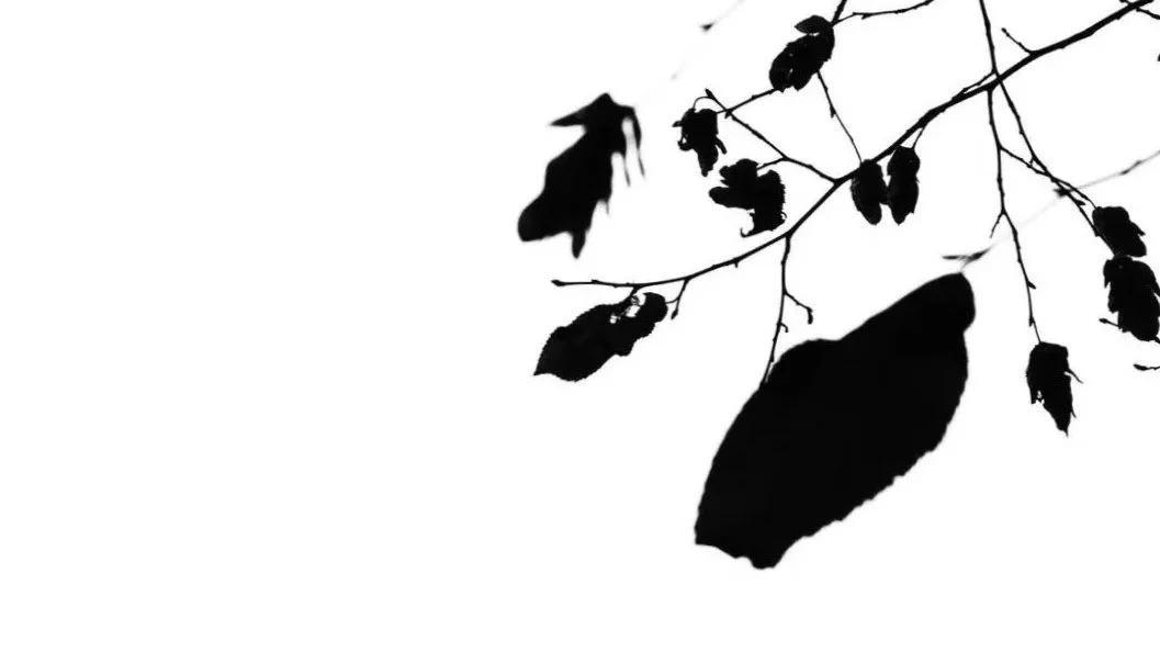 Art Nature box is based around traditional artist materials, watercolour paints, canvas acrylic paints and brushes and beautiful papers. Paint a canvas with acrylics or wash with professional watercolour pigments on paper to produce your own piece.