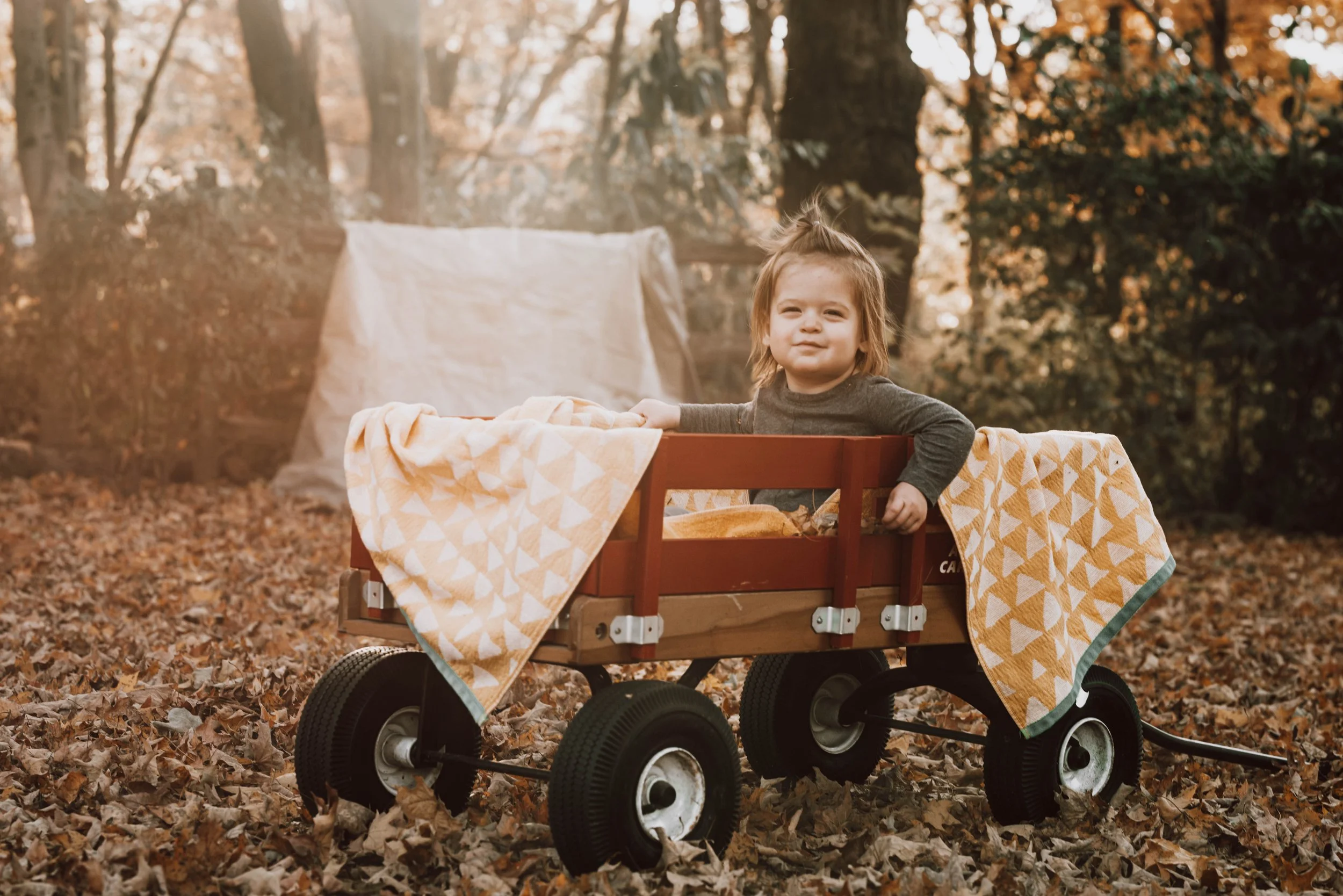 A young girl sitting in a wooden wagon with blankets, outdoors in autumn with fallen leaves and trees in the background.