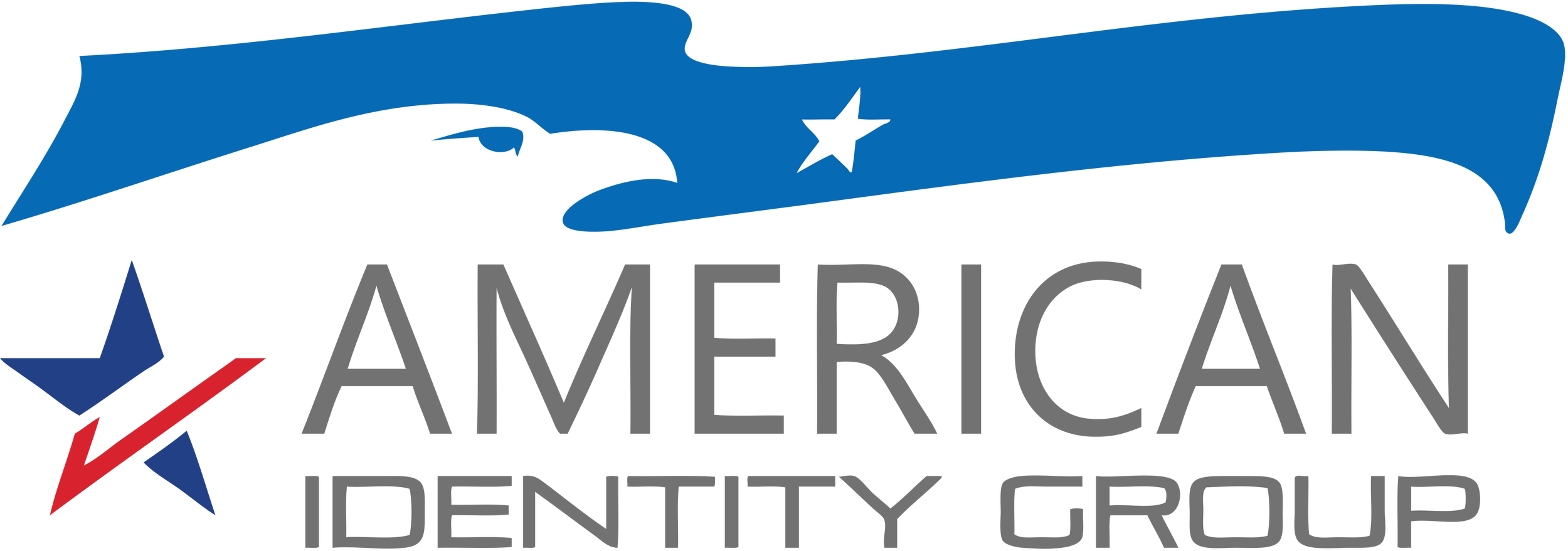 AMERICAN IDENTITY GROUP.png