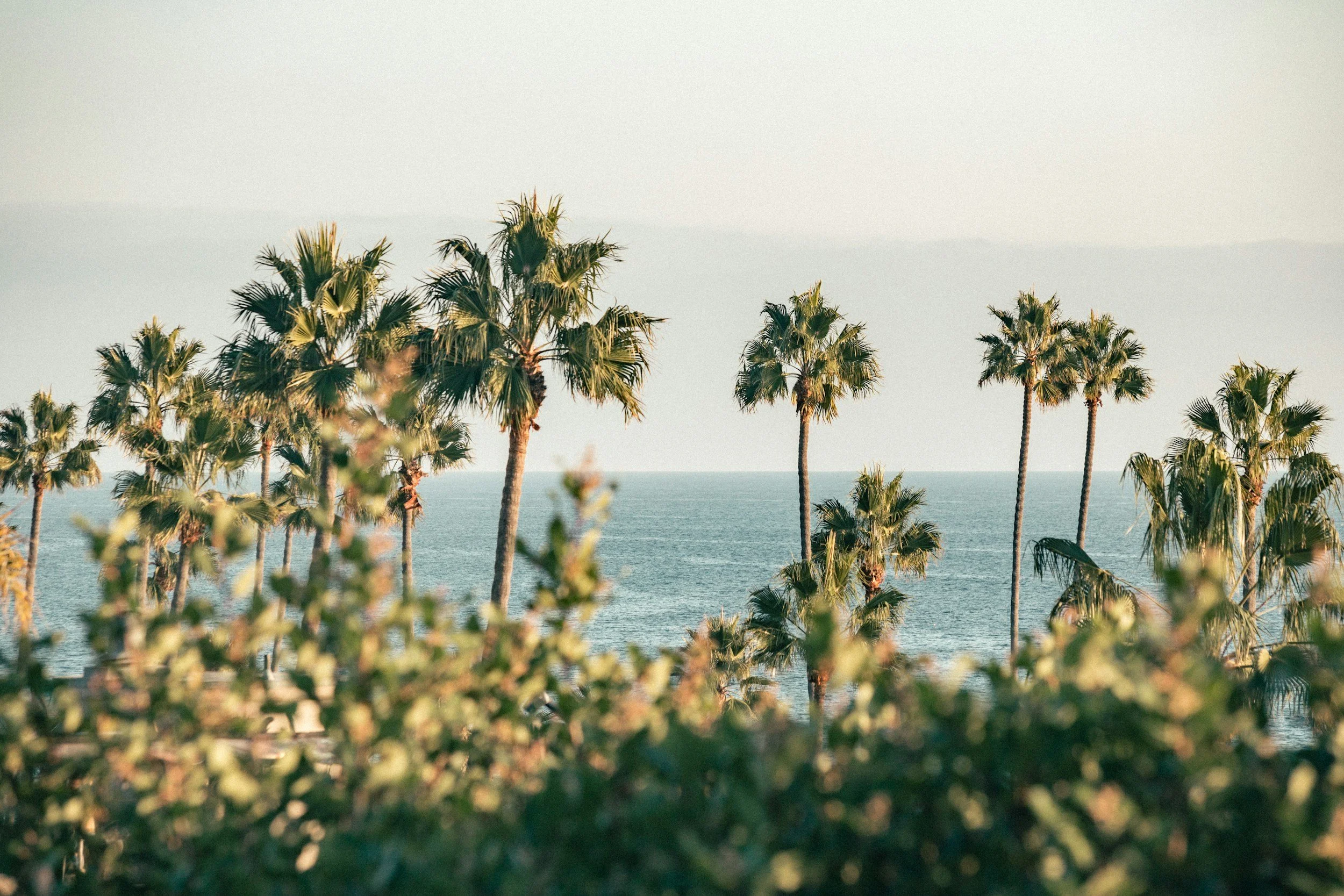 unsplash-image-3Sz0rX3Rxto.jpg