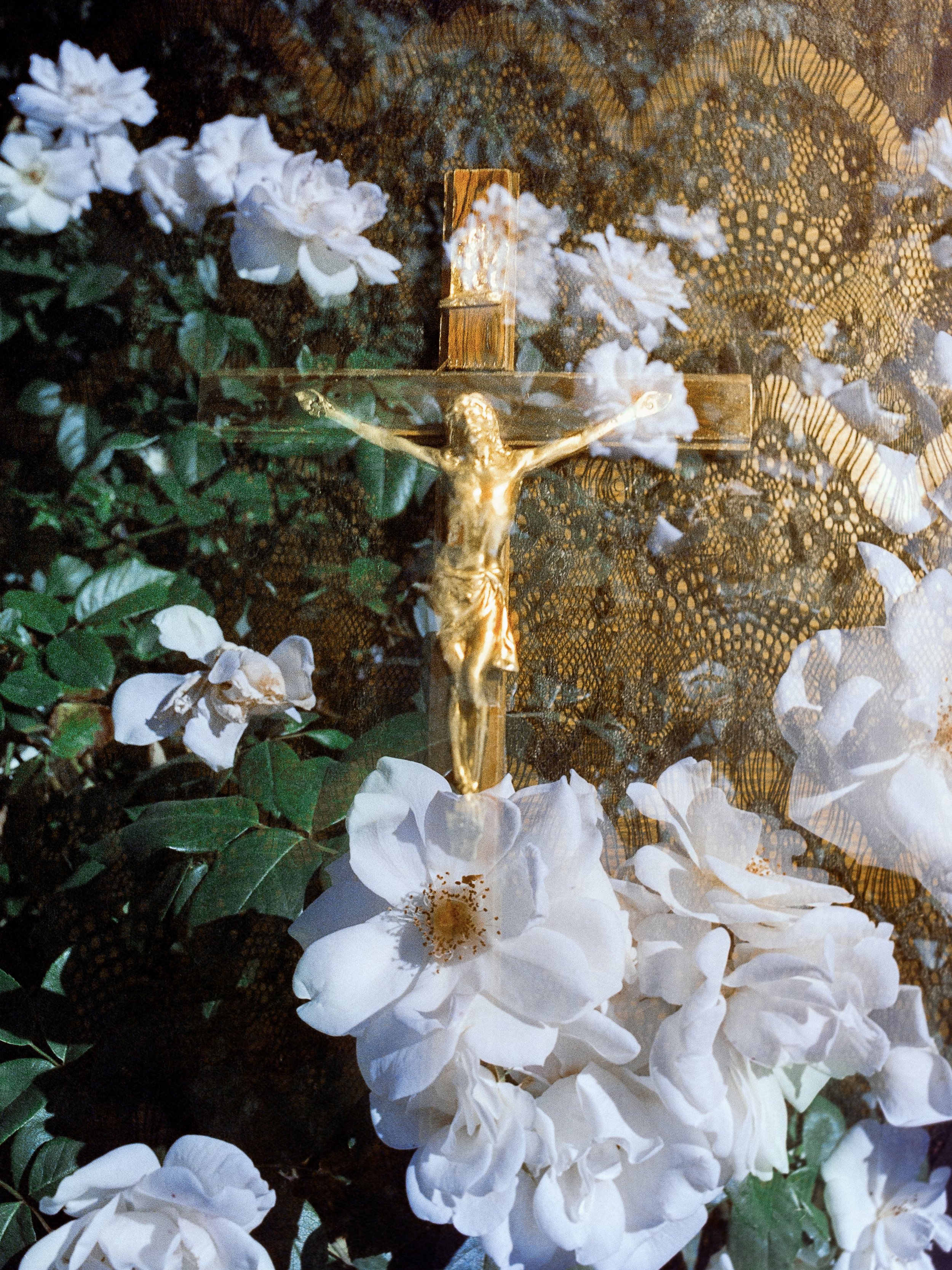 He Meant What He Said: Why the Eucharist Is Truly the Body and Blood of Jesus