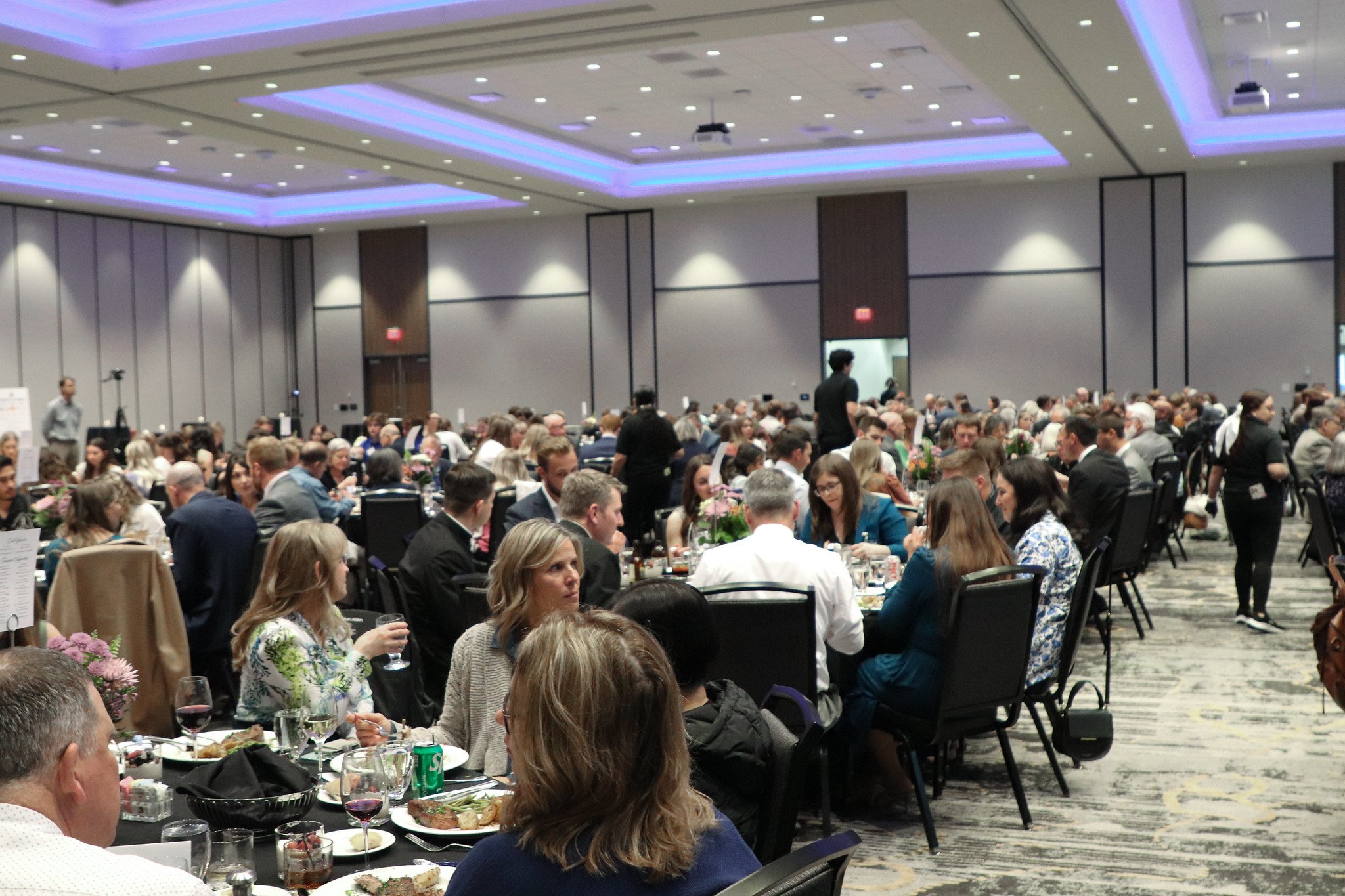 54488041094_393b3321f3_k (2).jpg