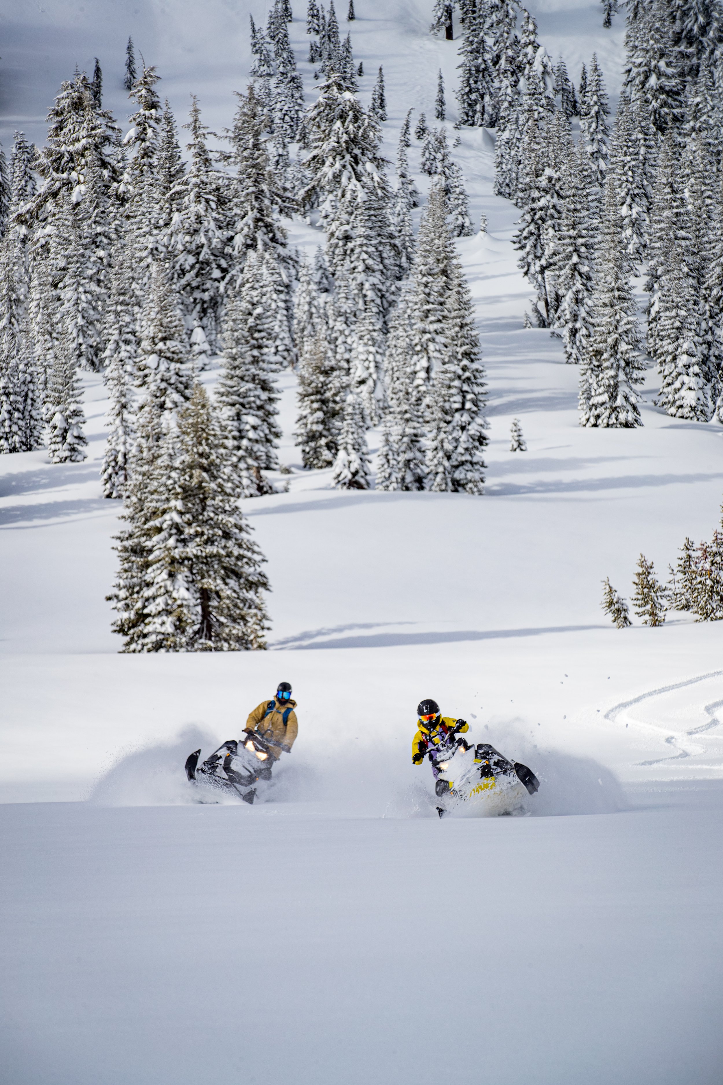 2020-4-7-JE-backcountry-2077.JPG