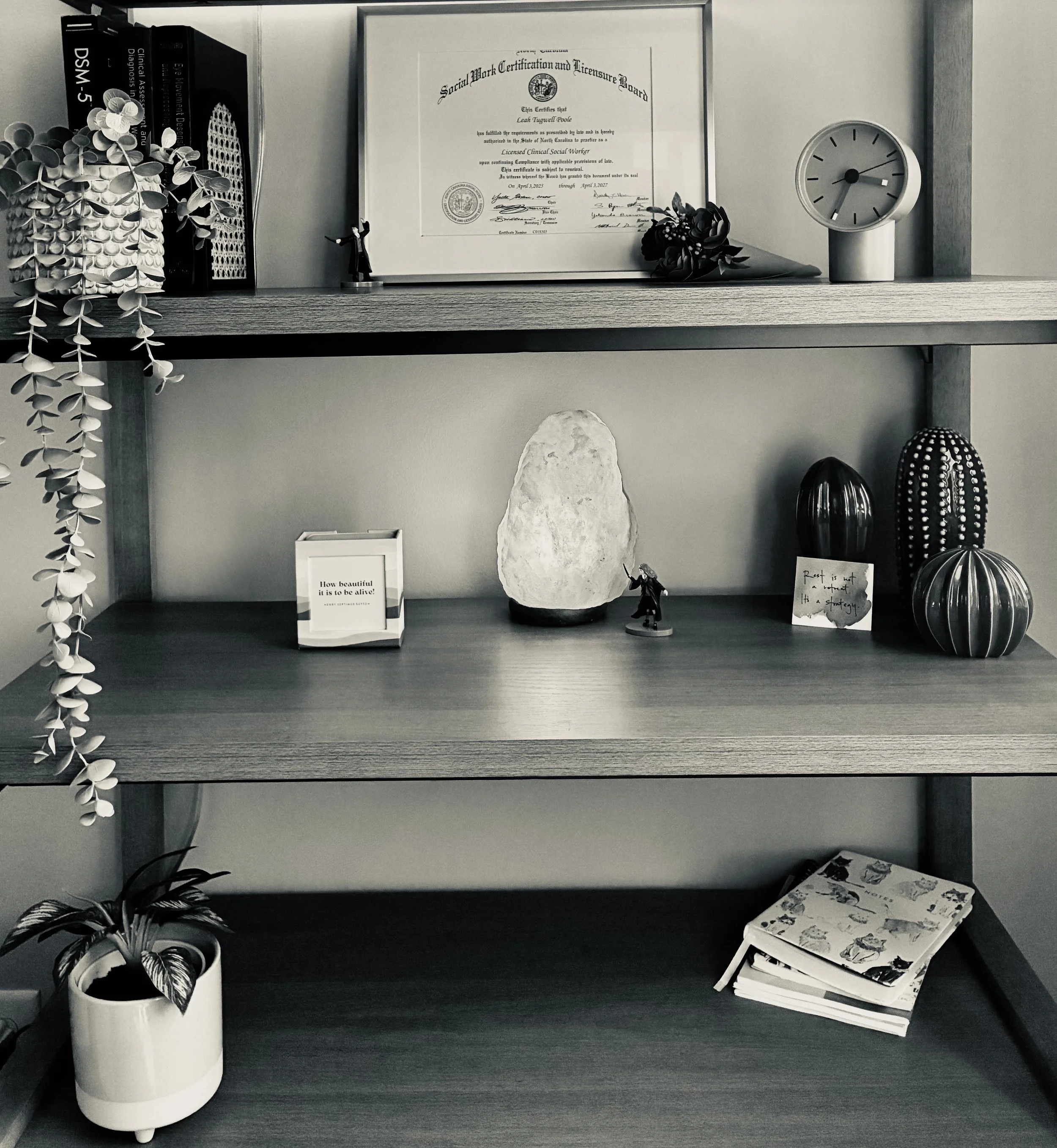 A bookshelf with decorative objects, books, a clock, a certificate, and a plant in a pot. There are also some pamphlets or magazines on the lower right shelf.