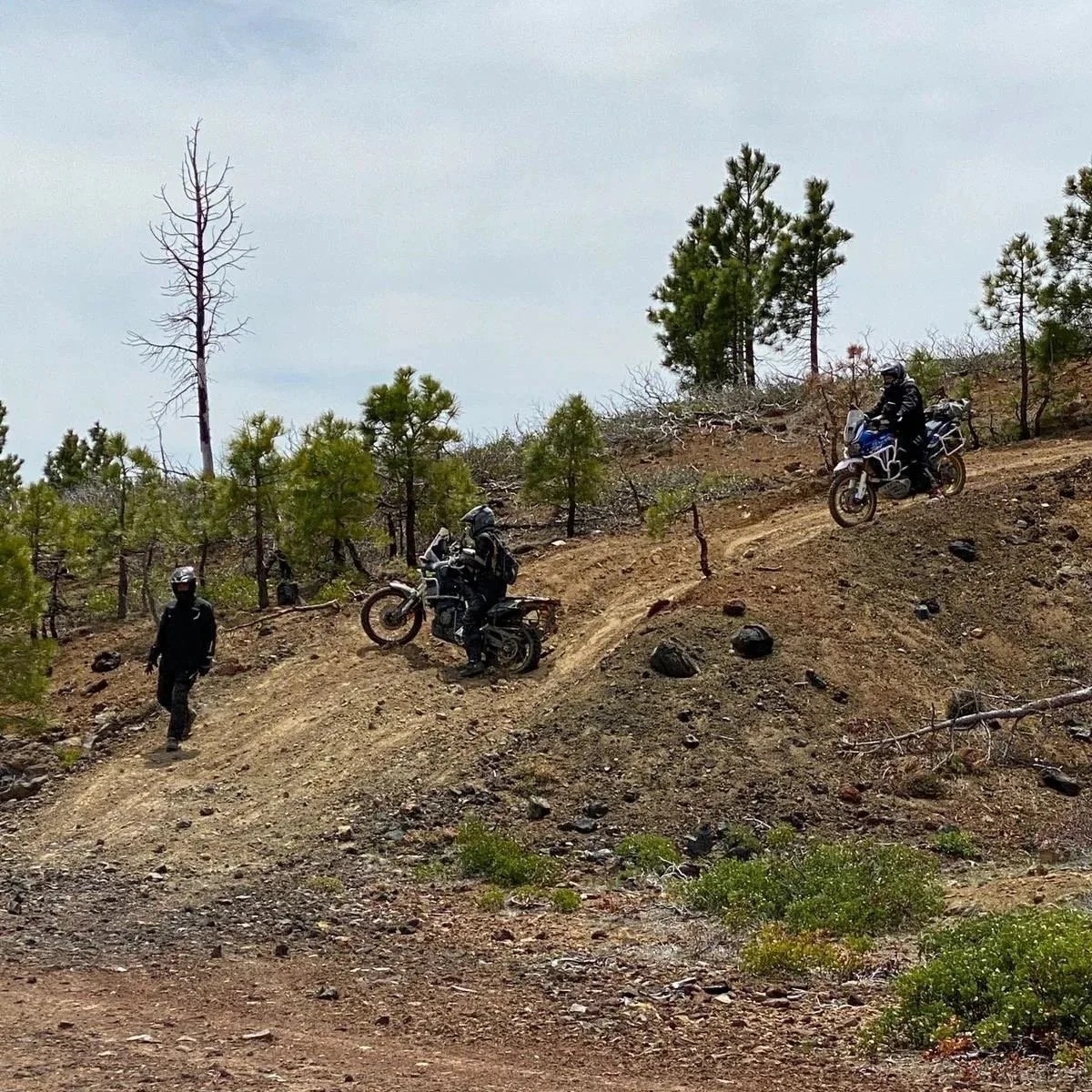 Private Rider Training