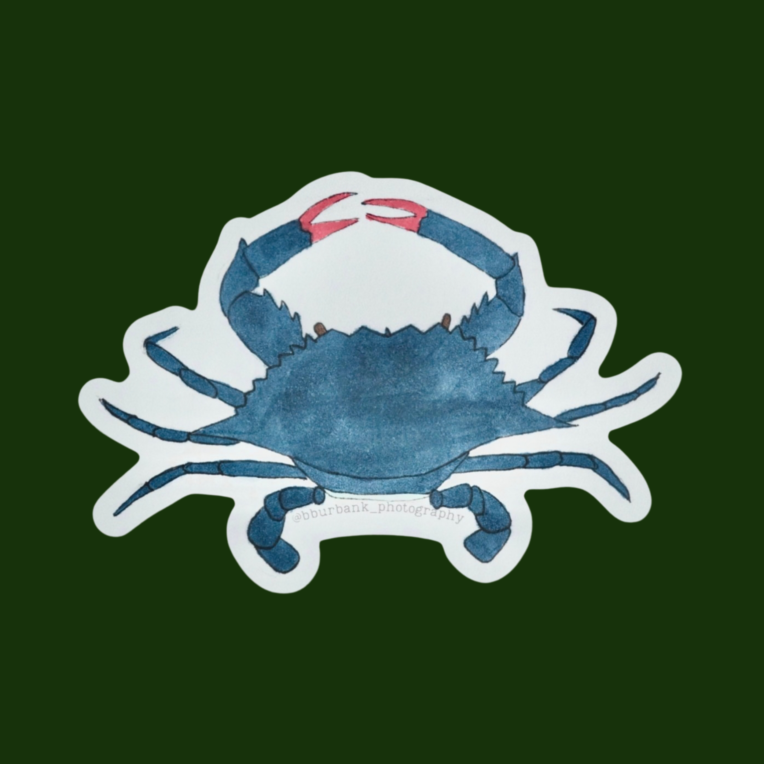 Blue Crab