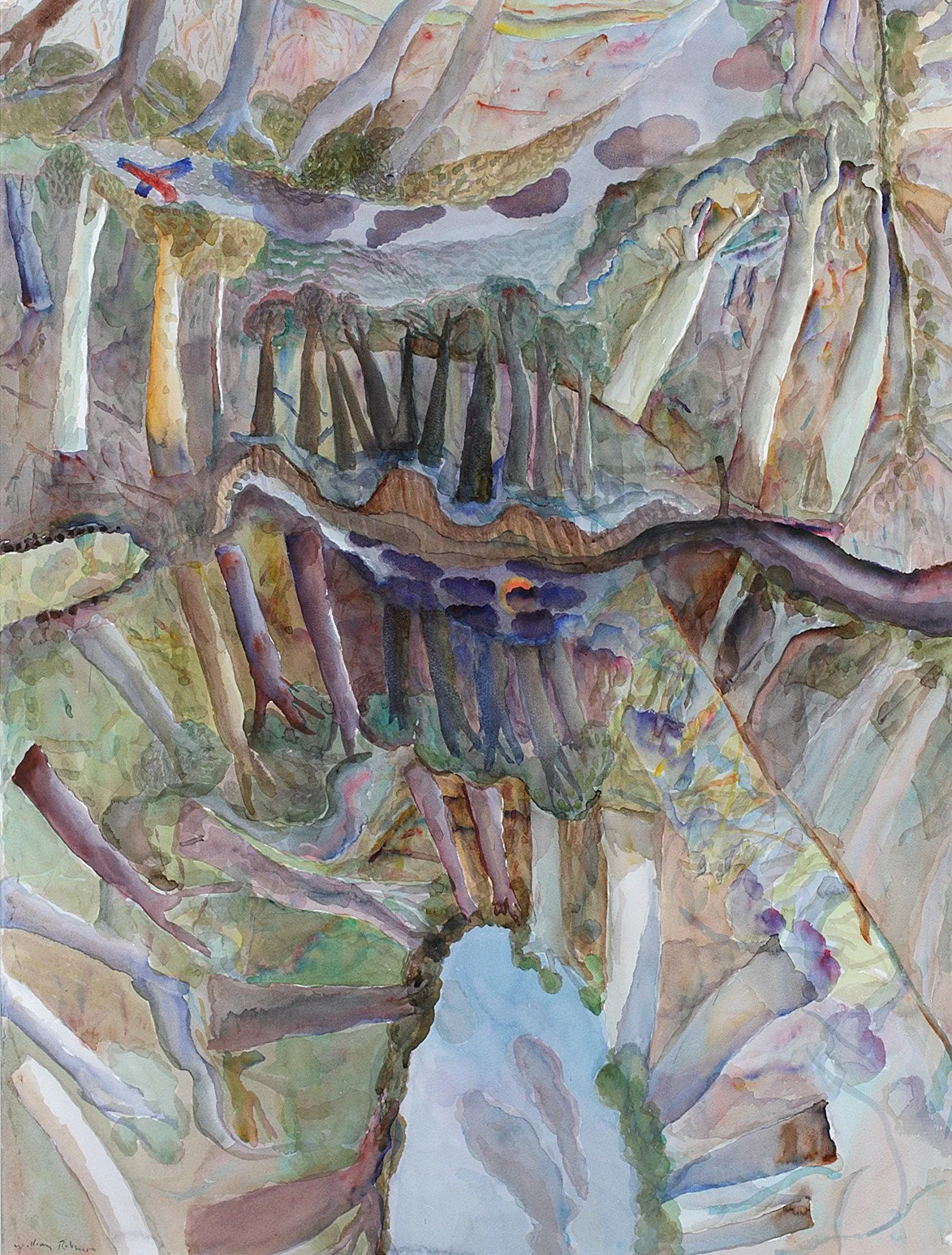 William Robinson Reflections