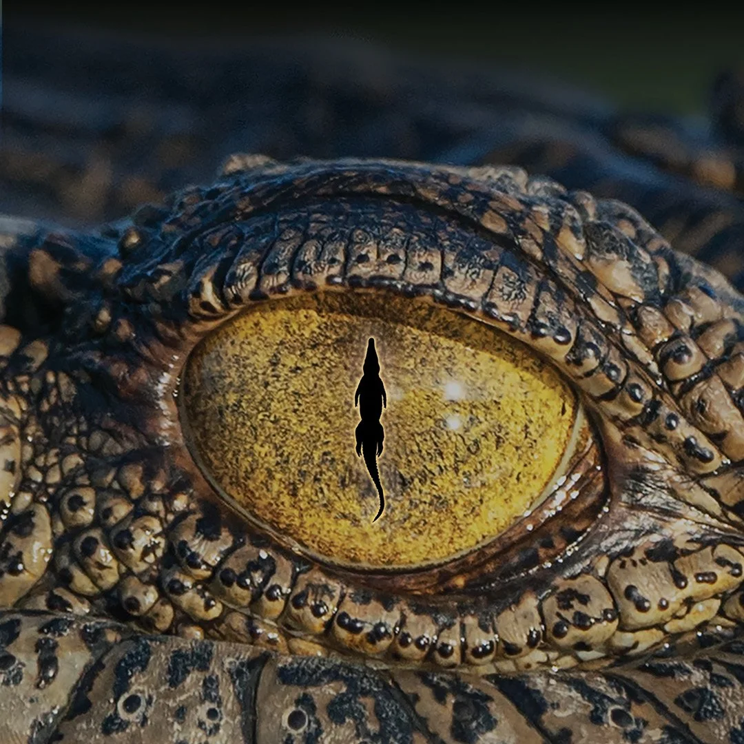 Croc! Lost Giants to Living Legends
