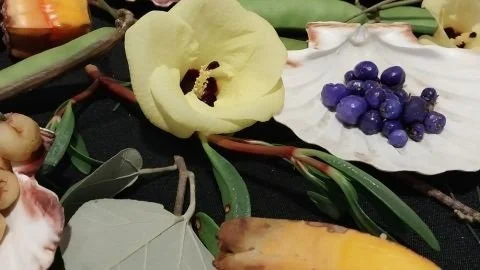 Discovering bush tucker with Murri Tukka