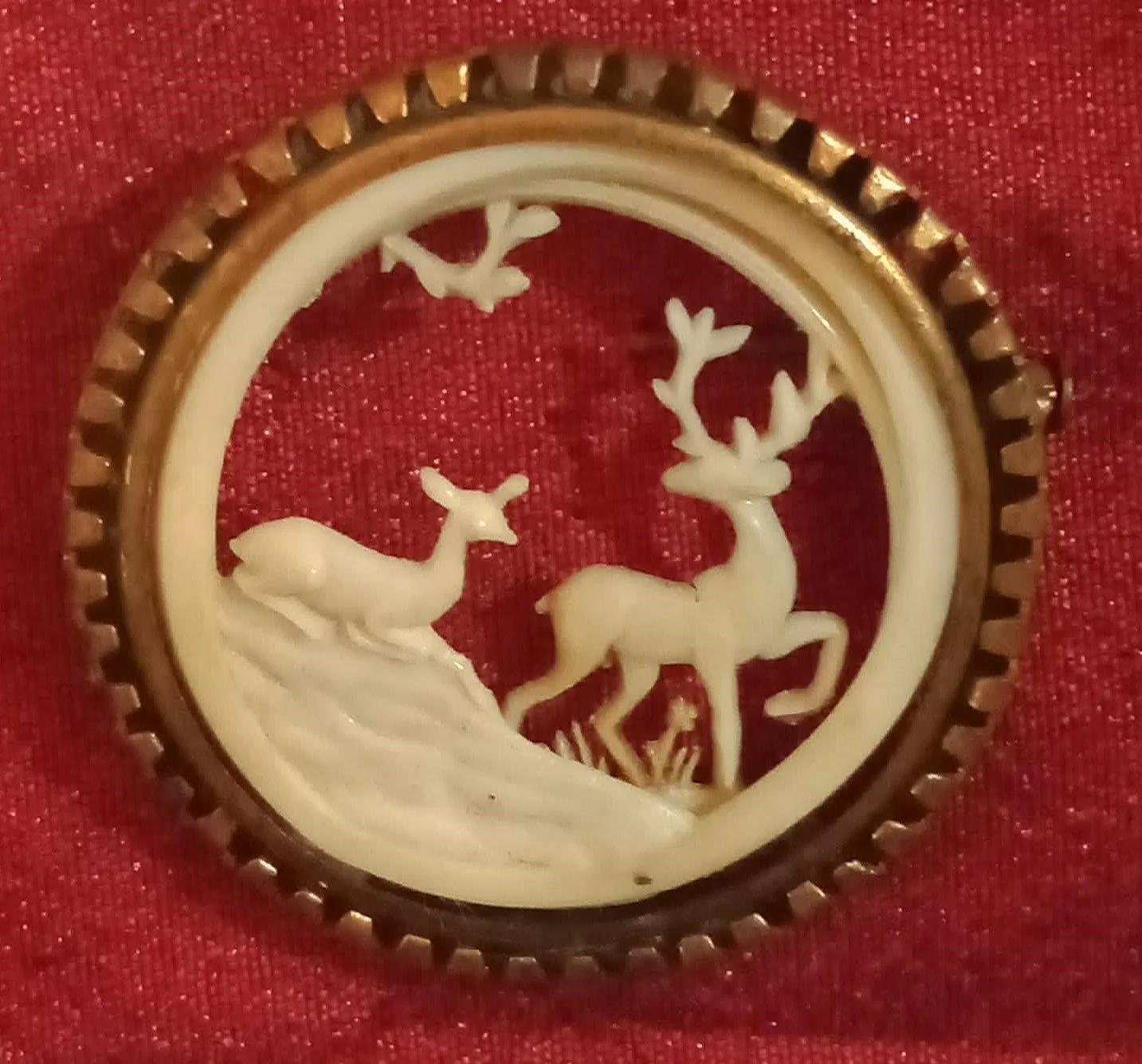 Celebrating Scottish heritage in early Queensland