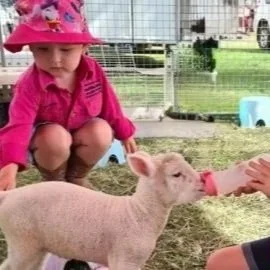 Farmyard fun day at Redcliffe Museum