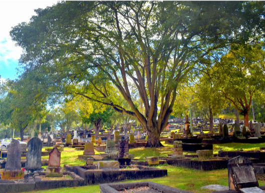 Brisbane’s Cemeteries: Forgotten Burial Grounds and Living Heritage