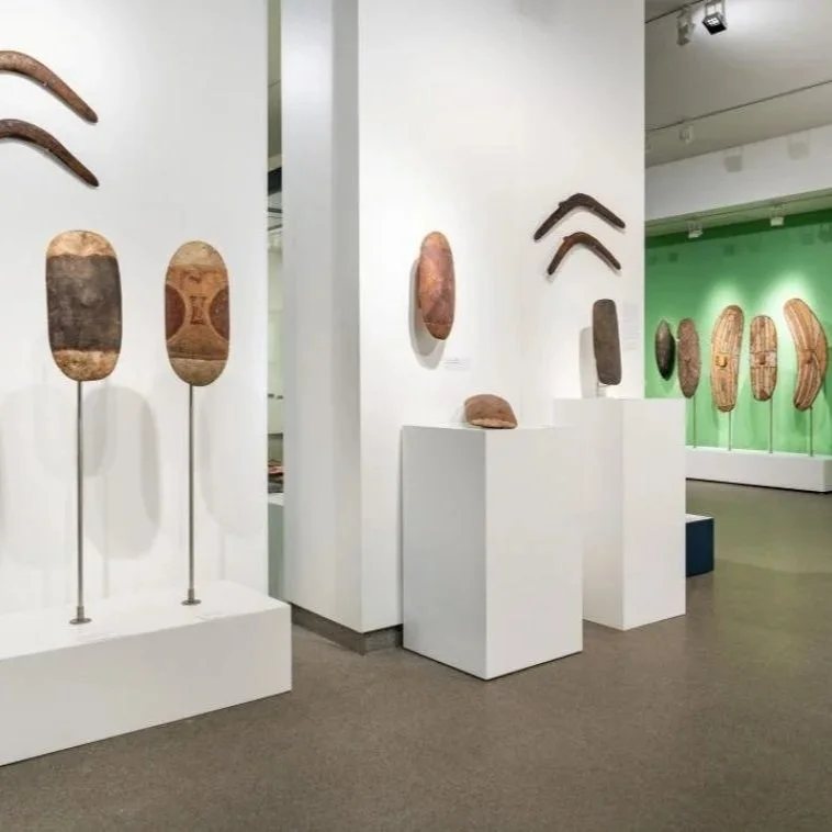 Shields: Design and functionality