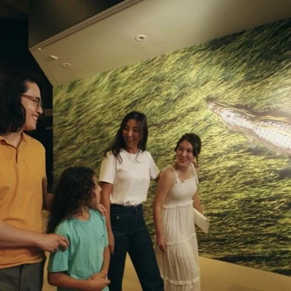 Croc! Guided Tour for Families